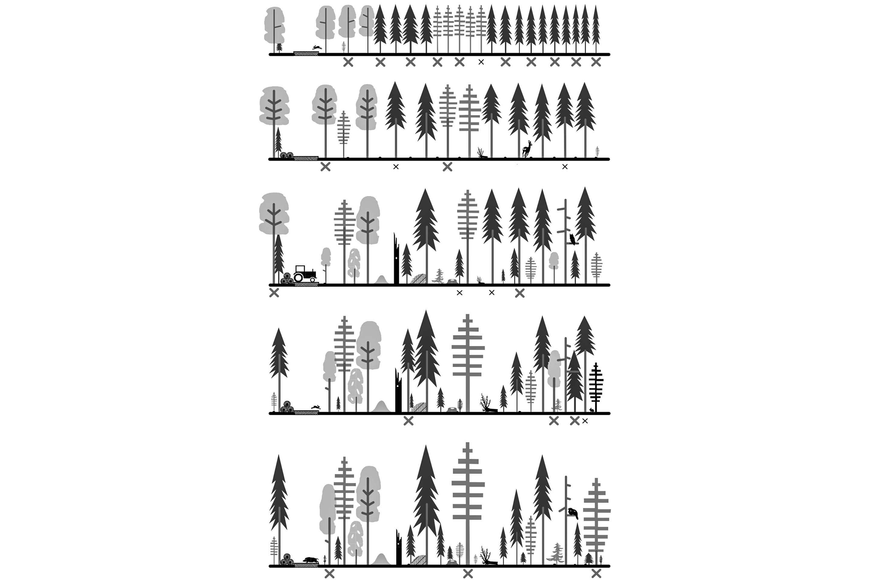forêts-suisse-de-demain-5.jpg