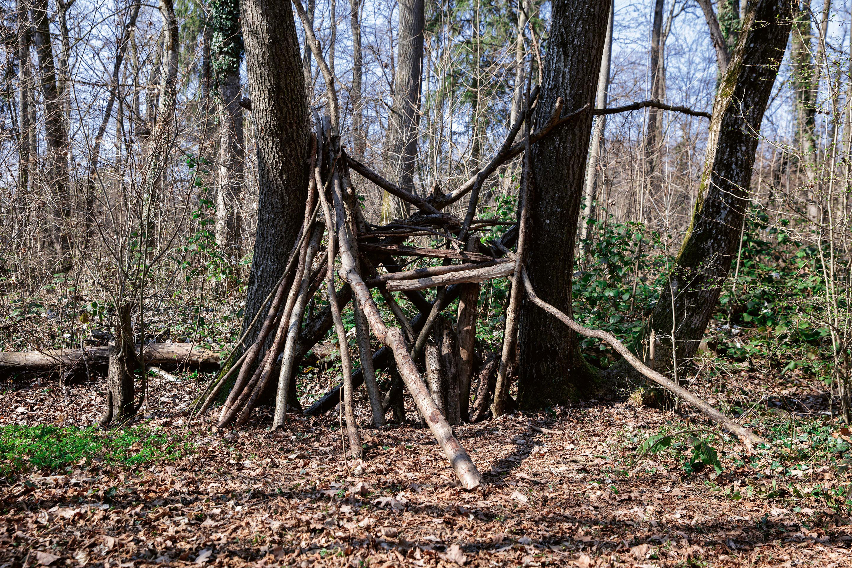 lisières-urbaines-forestières-11.jpg