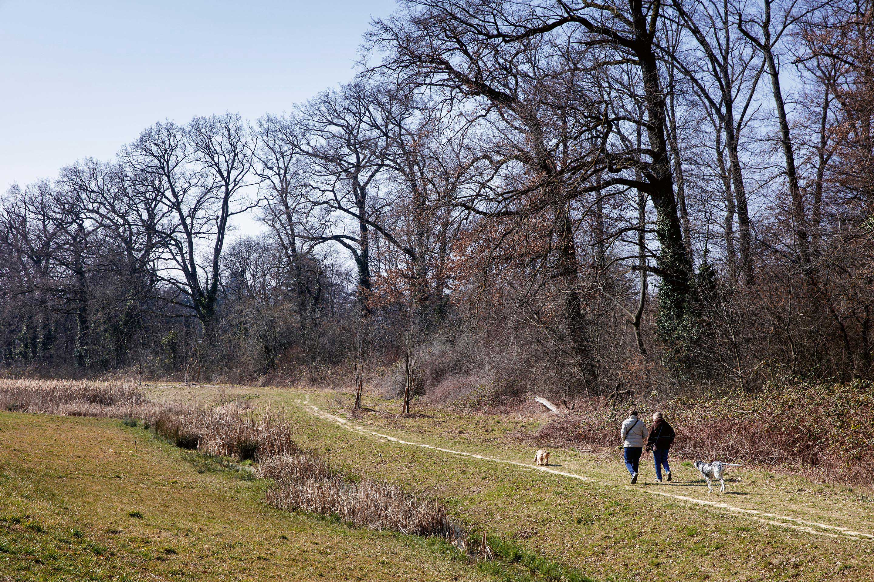 lisières-urbaines-forestières-5.jpg