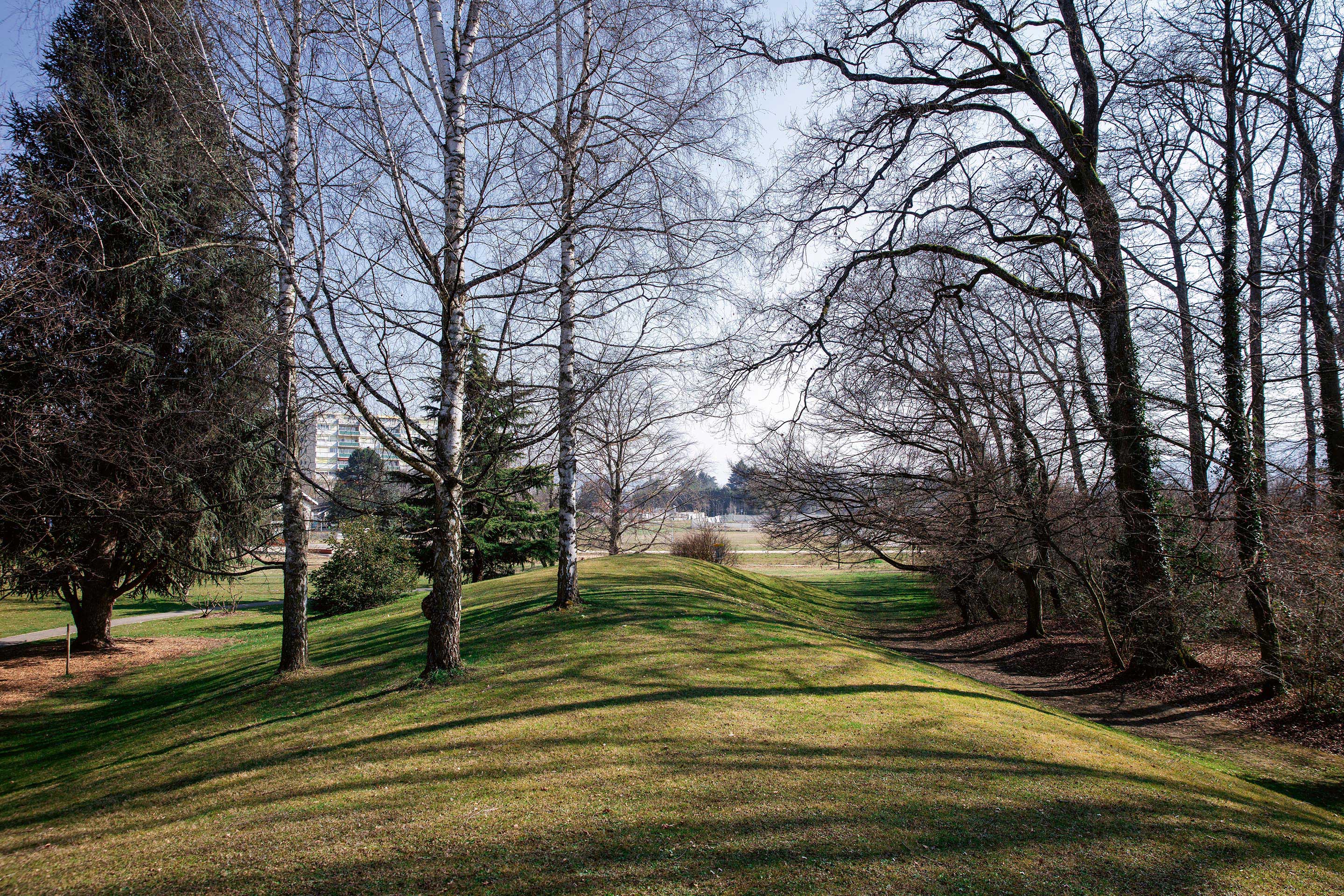 lisières-urbaines-forestières-9.jpg
