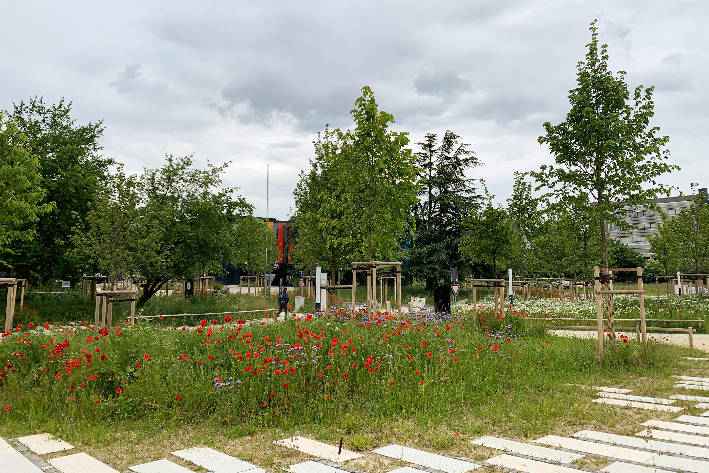 50-ans-campus-EPFL-anniversaire-paysage-Lausanne-D.jpg