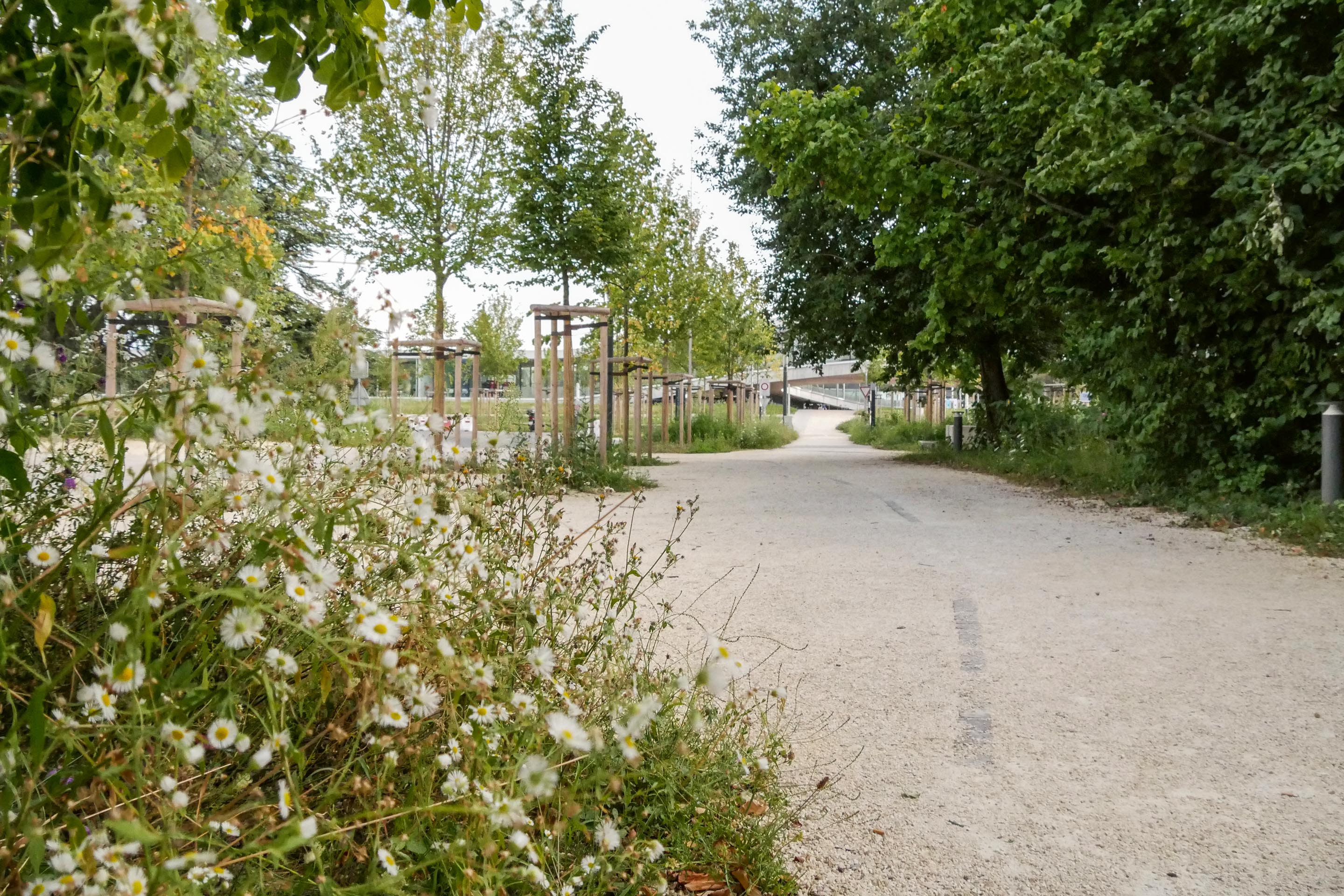 50-ans-campus-EPFL-anniversaire-paysage-Lausanne-F.jpg