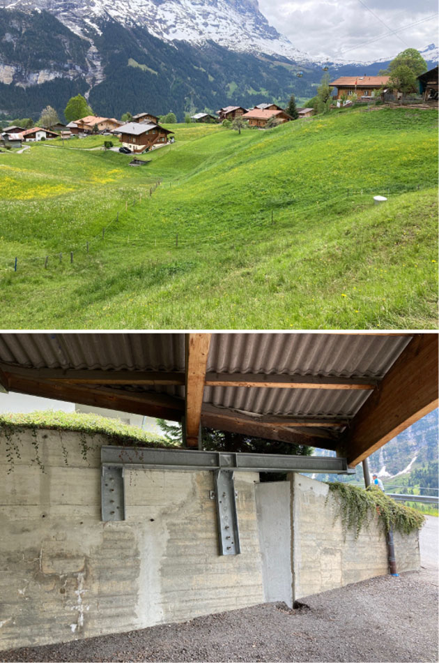 Zona di distacco