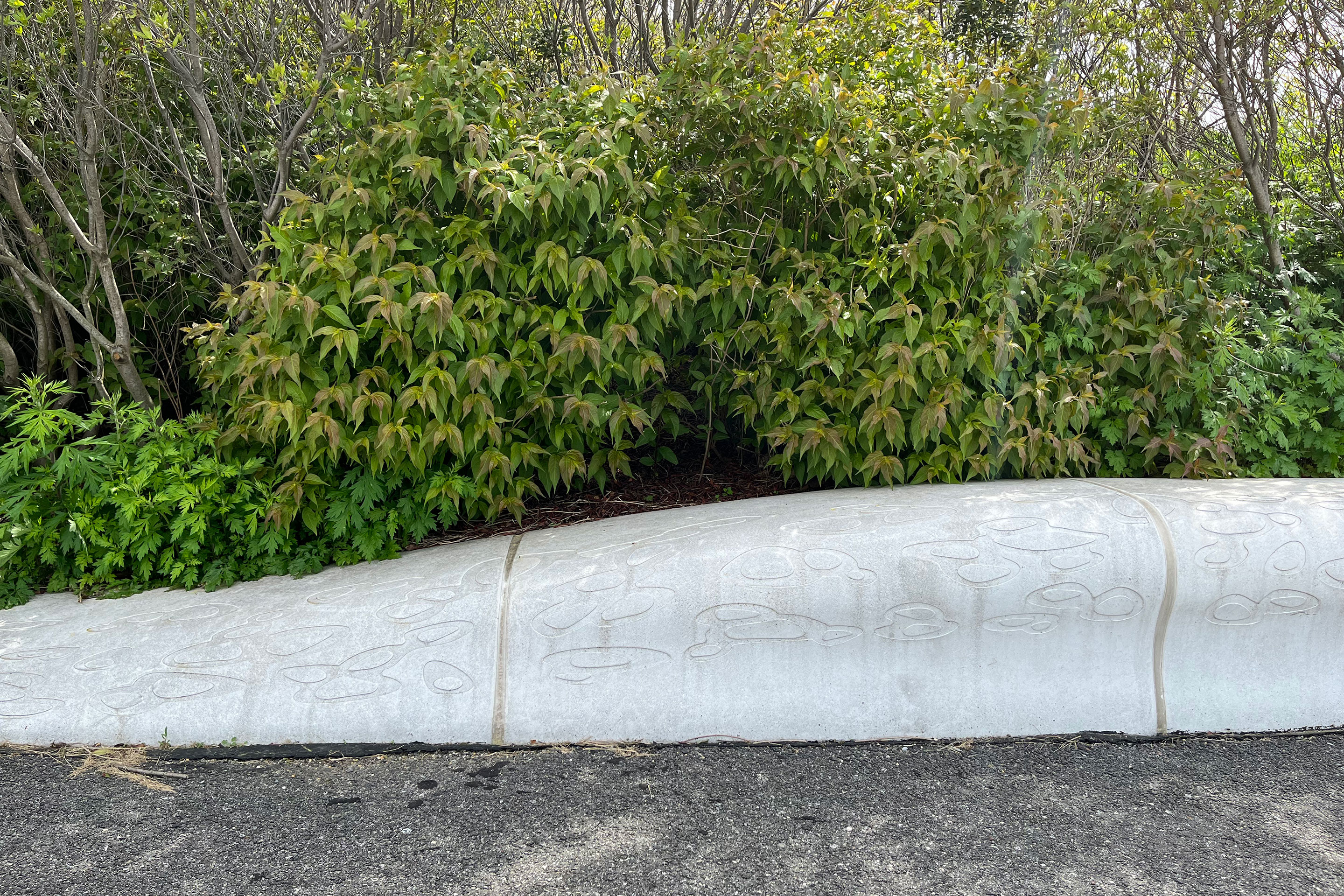 Hella-NY-governors-island-15