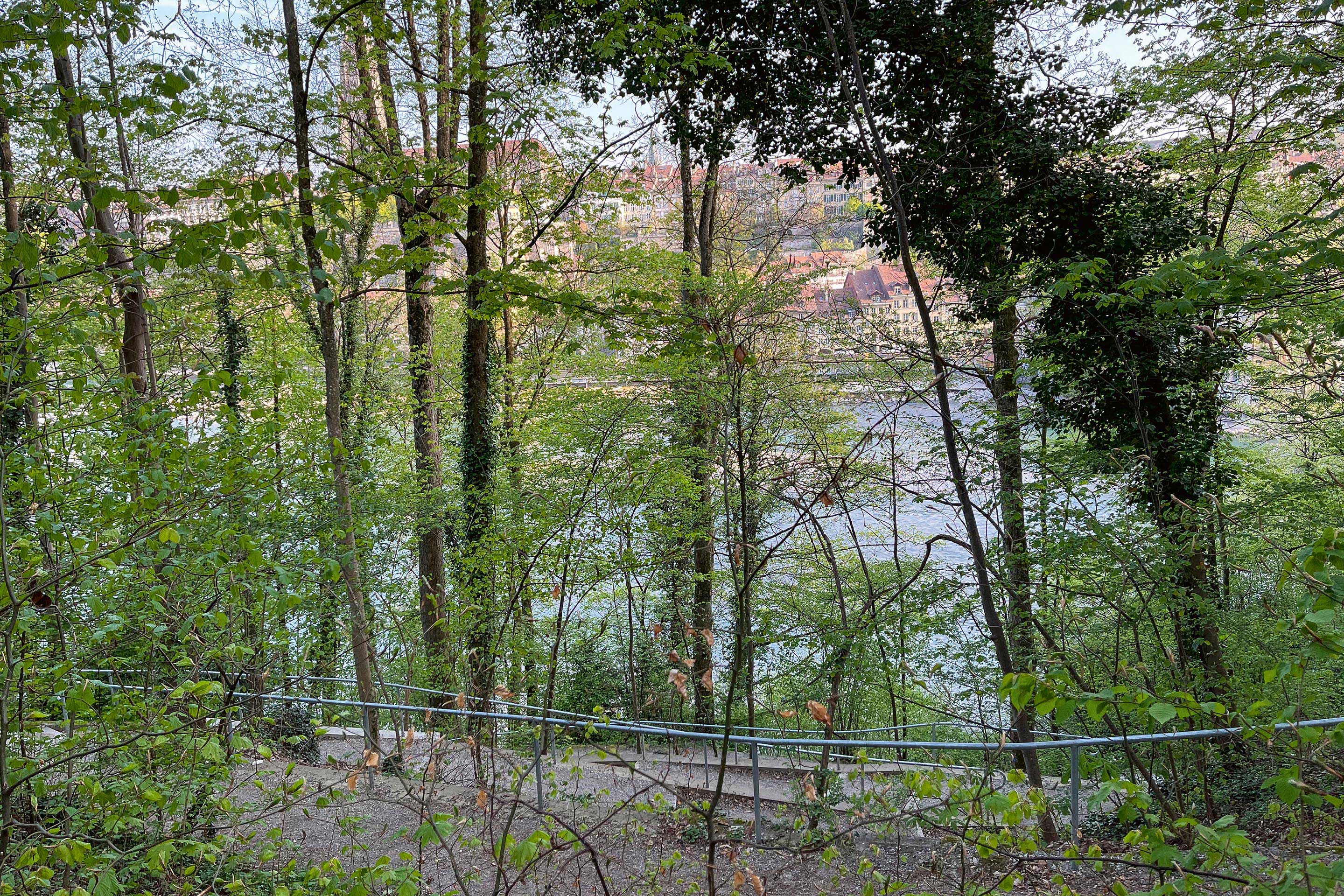 Landschaftsgestaltung-Englische-Anlage-Bern-Interview-Brigitte-Nyffenegger-5.jpg
