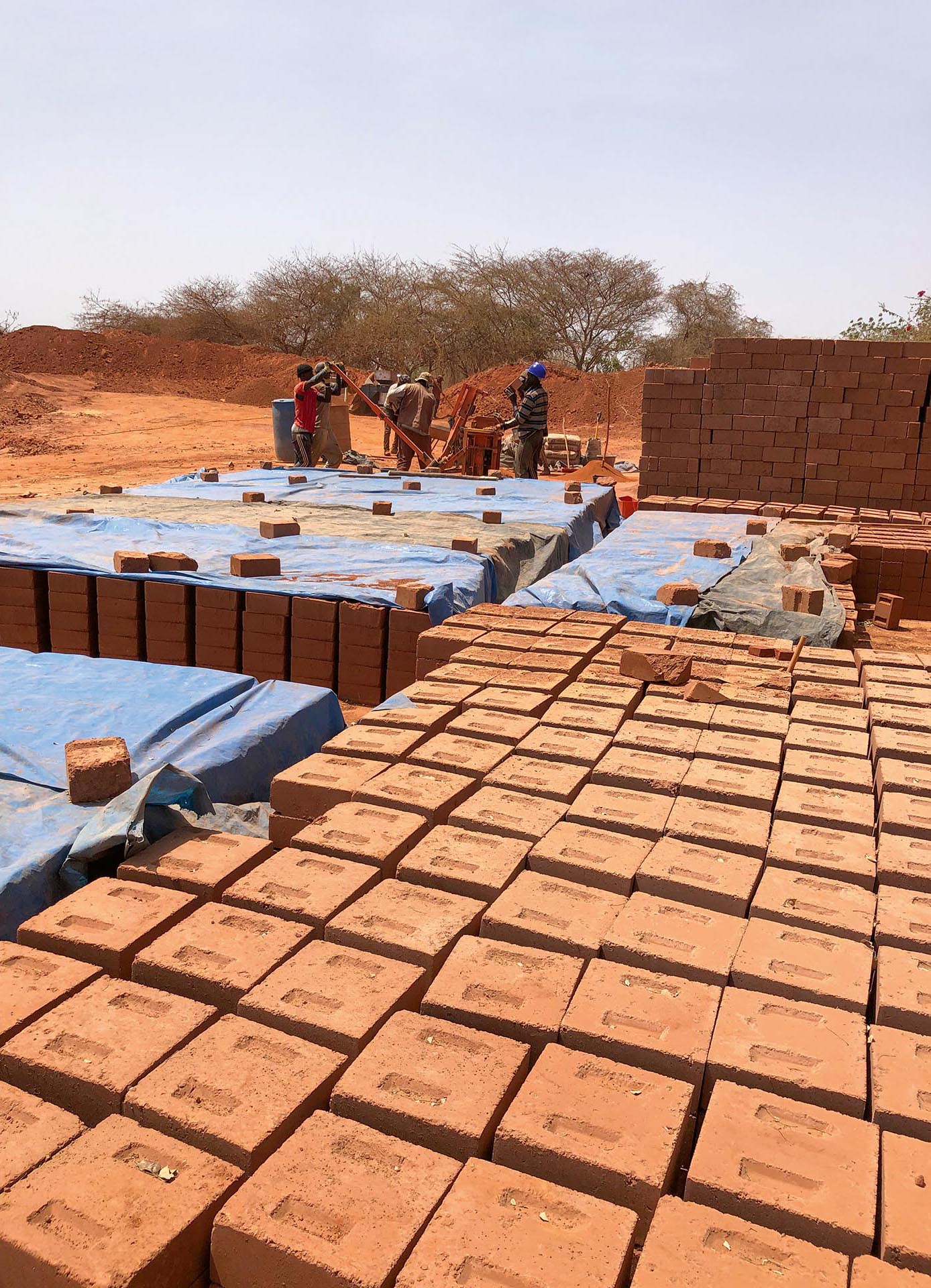 Terre-Sénégal-reportage-élémenterre-Gandigal-1.jpg