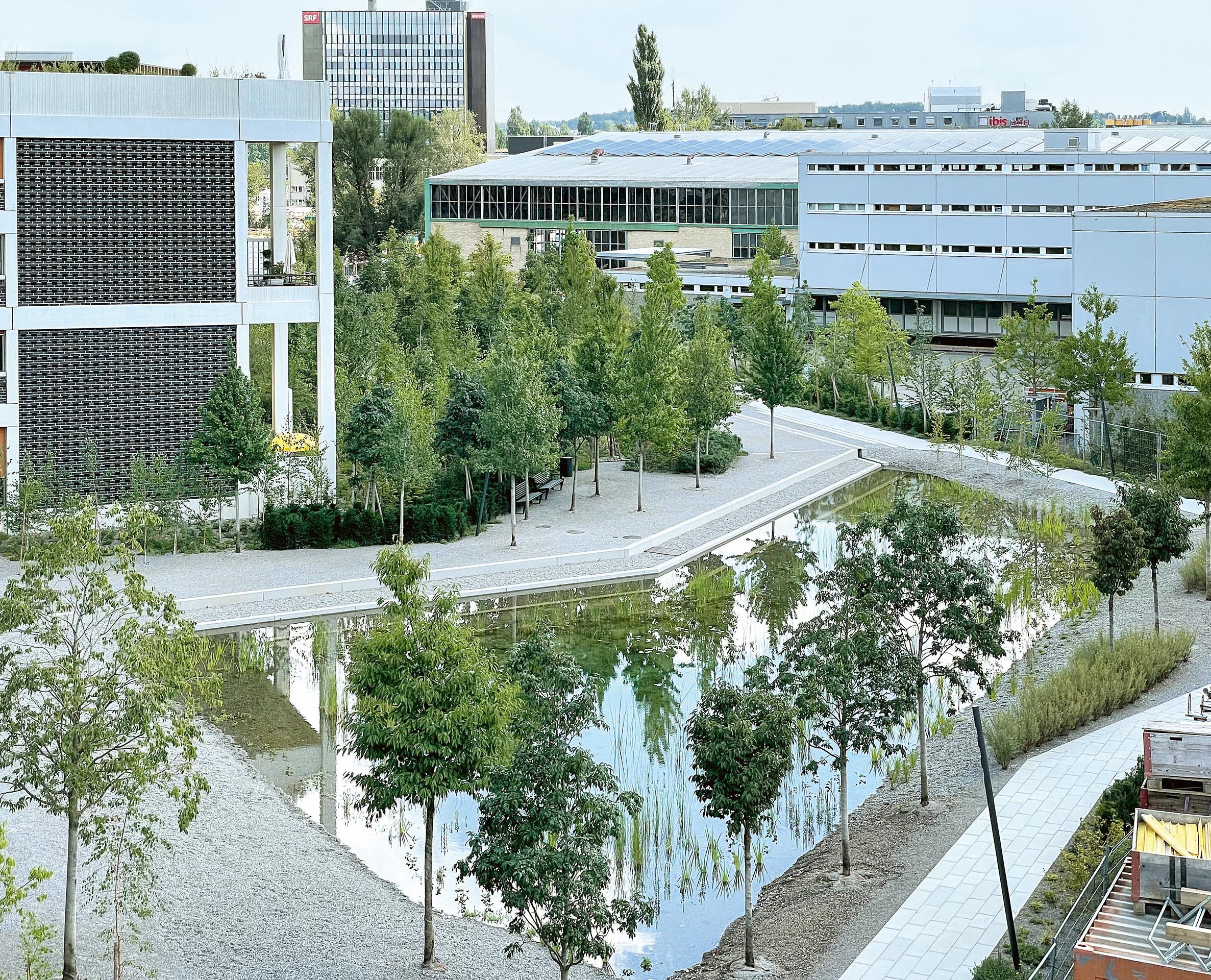 Der Teich im Aussenraum der Überbauung WolkenWerk ist immer mit Wasser gefüllt.  Er hält aber auch den Wasserabfluss bei Starkregen zurück.
