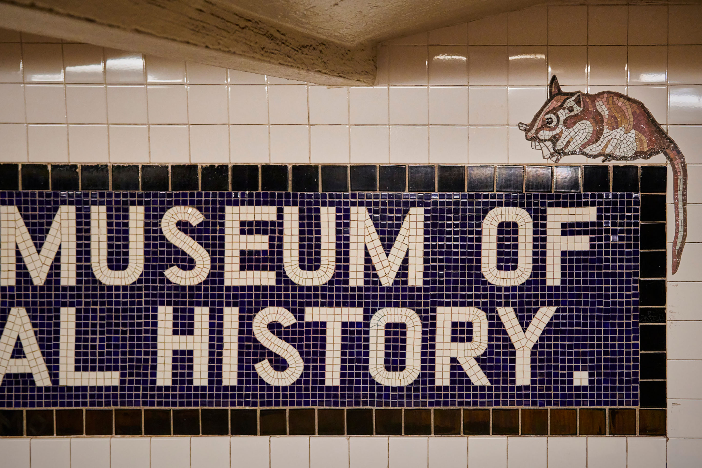 Subway-NY-Funke-11