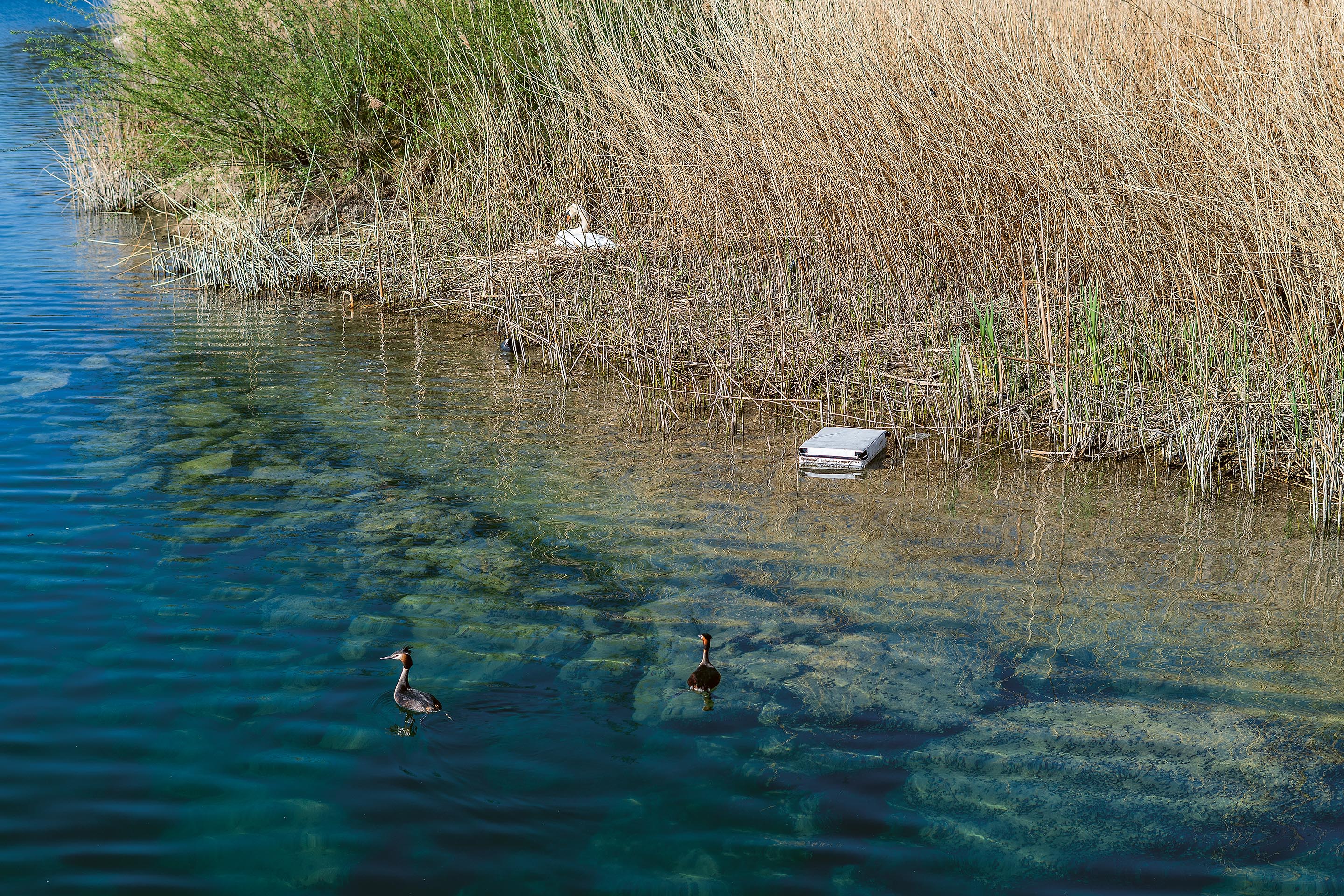 Batisseurs-Suisse-Plages-3