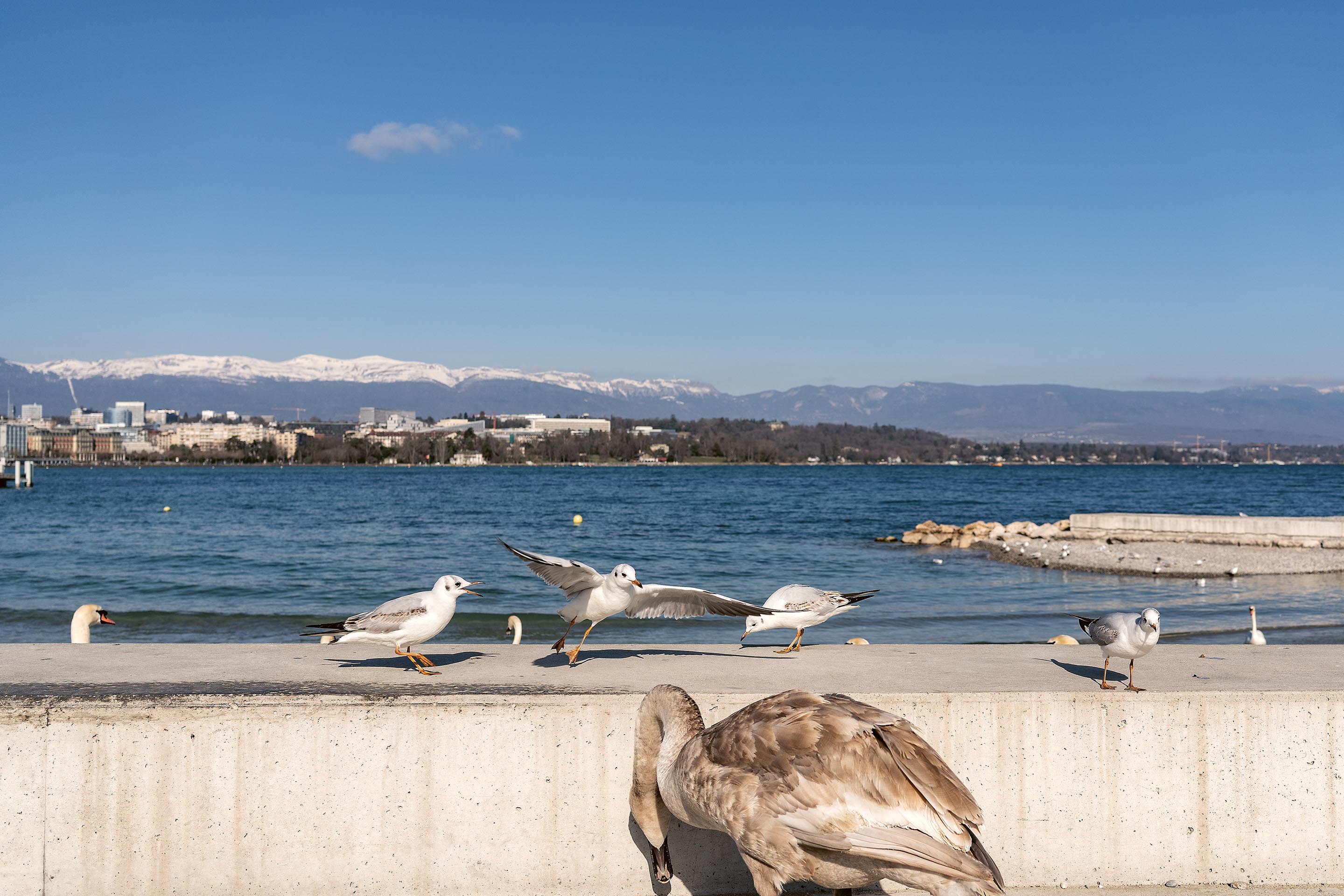Batisseurs-Suisse-Plages-6