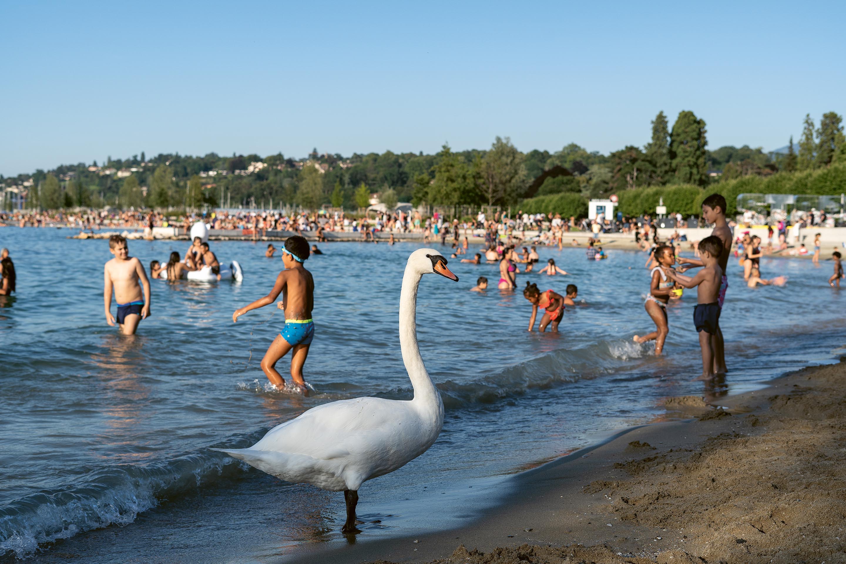 Batisseurs-Suisses-Plages-14