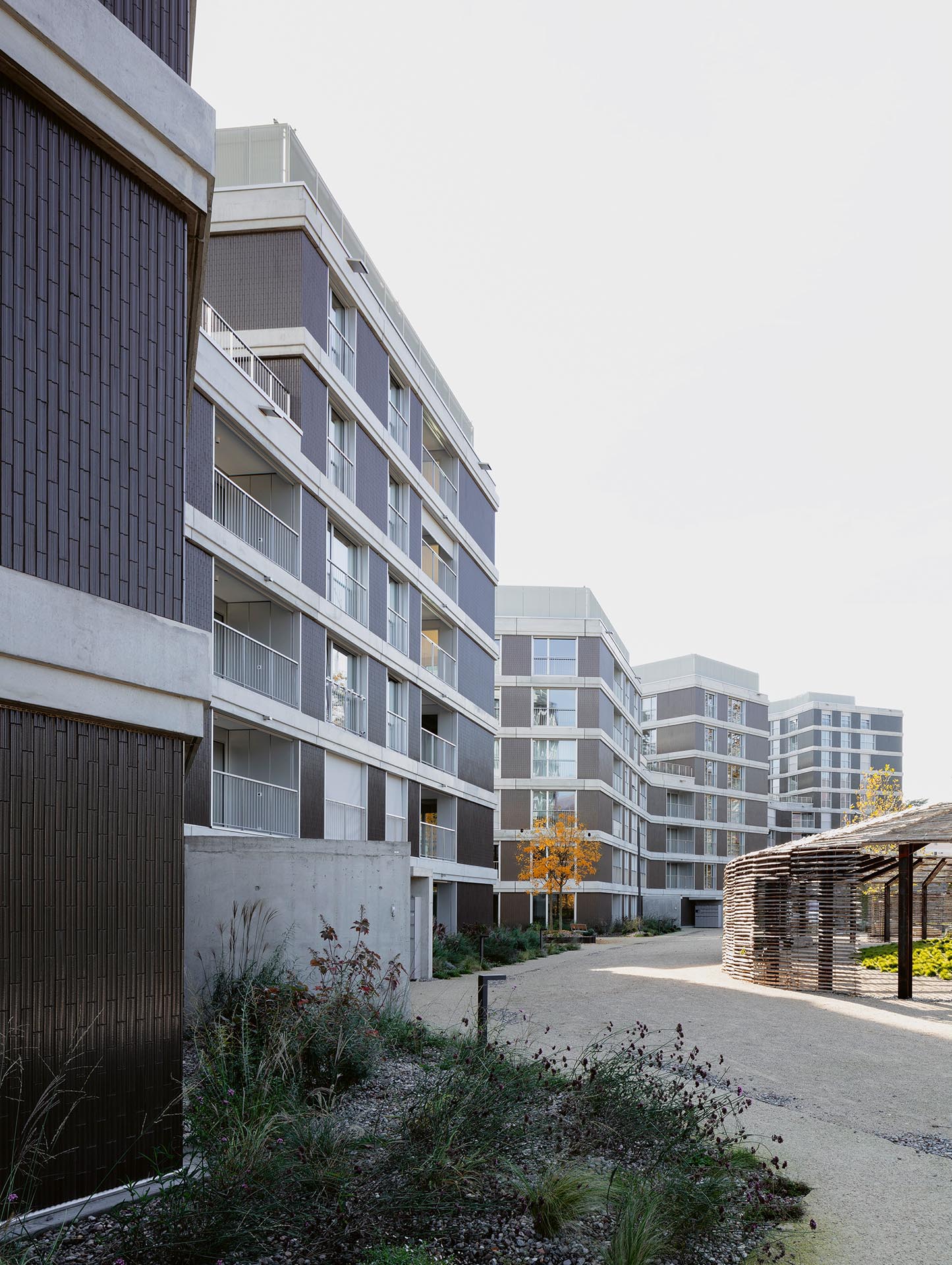 Residenze-nel-parco-Massagno-1.jpg