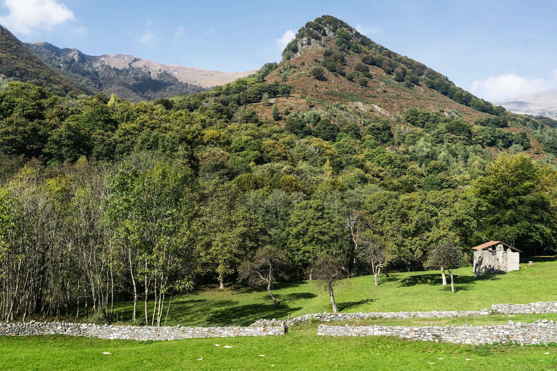 Patrimonio svizzero conferisce il Premio Schulthess all’Associazione dei castanicoltori della Svizzera italiana.