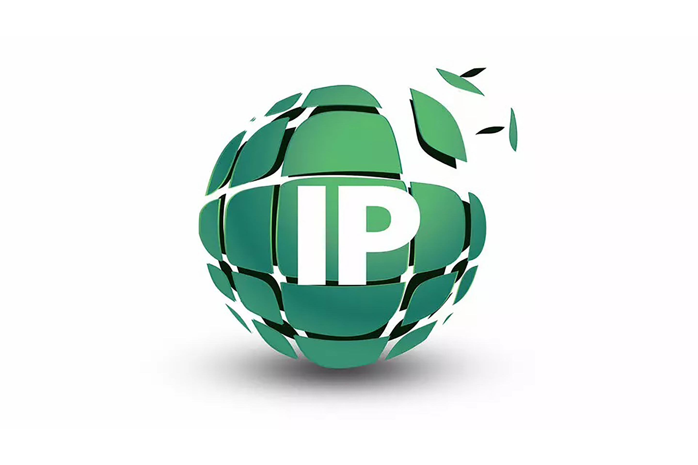 audio-video-g+m-sa-1---tecnologia-IP.jpg