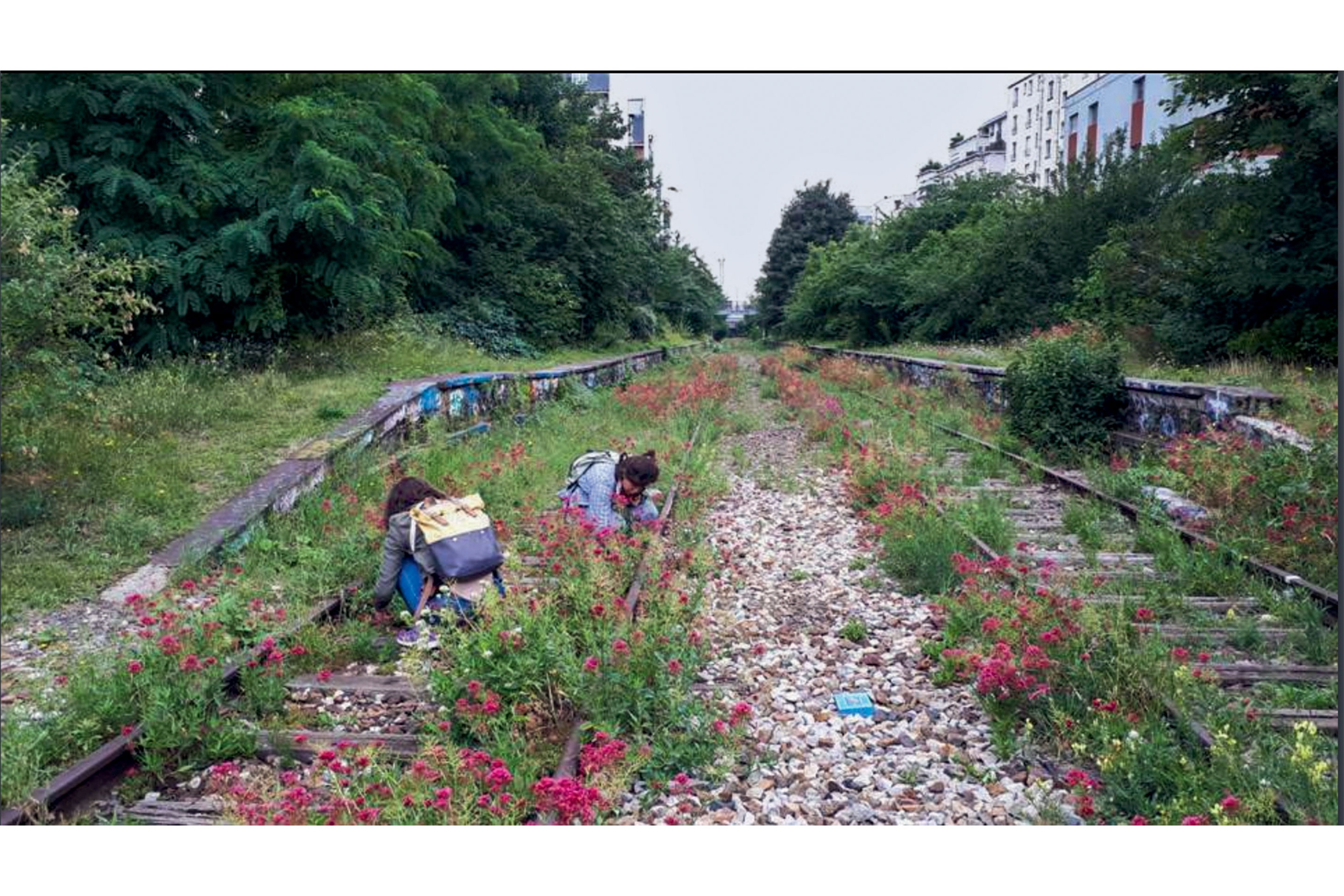 Jardiner: secteur est de la Petite ceinture, Paris, 2019. Aménagements en bois, sans fondation et réversibles, accompagnés d’une plantation et de semis de plantes trouvées dans la Petite ceinture et sélectionnées pour leurs qualités d’accueil de la faune.