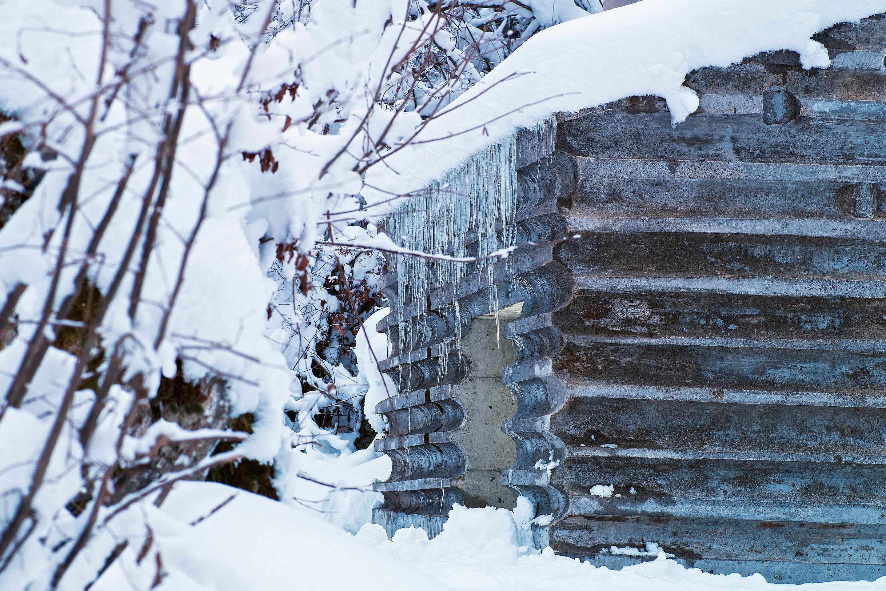 S. Walder e G. Nickisch, Refugi Lieptag, Graubünden, Flims, 2013.