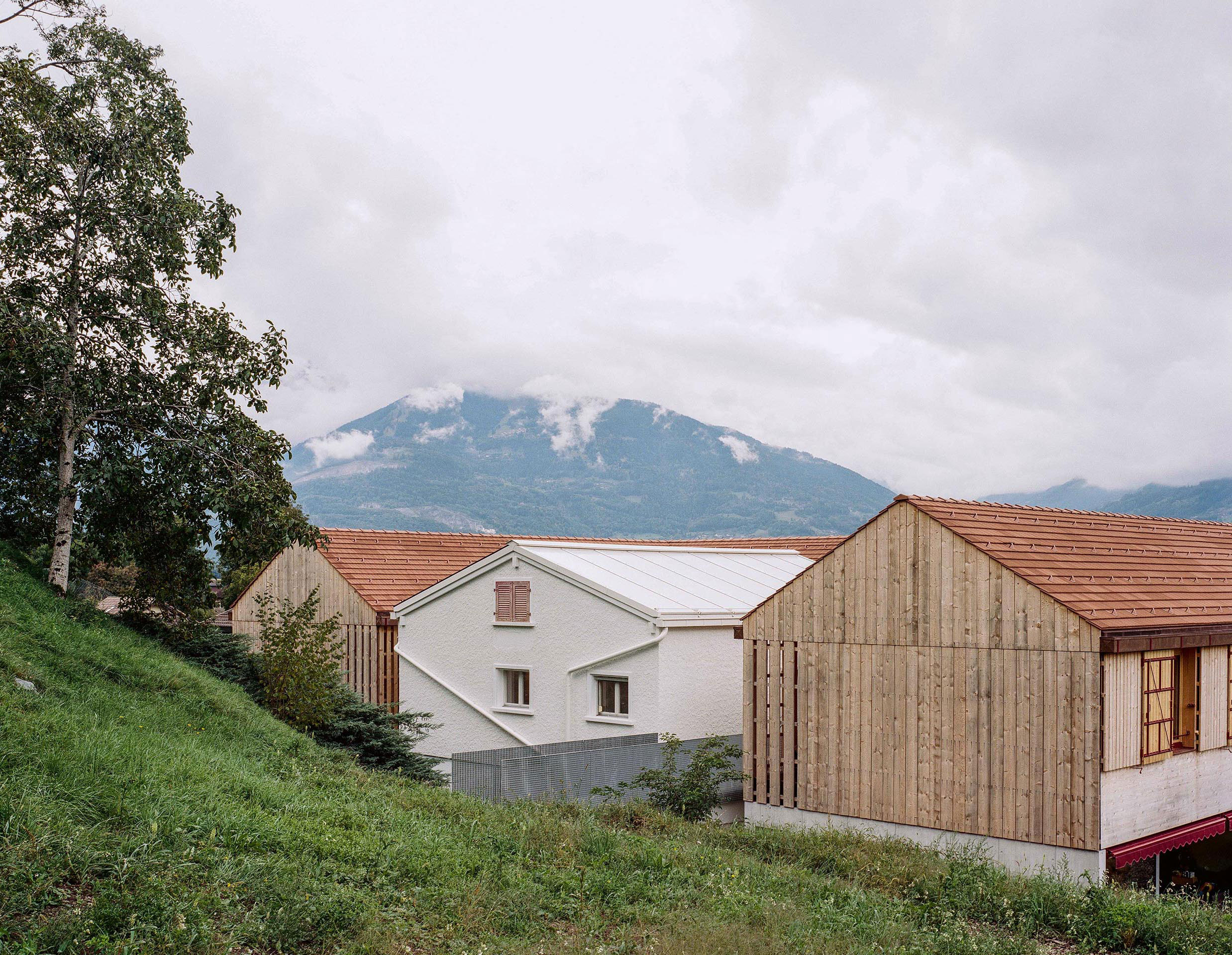 La maison existante, peinte en blanc, est vidée pour devenir un jardin d’hiver et flanquée de deux extensions.