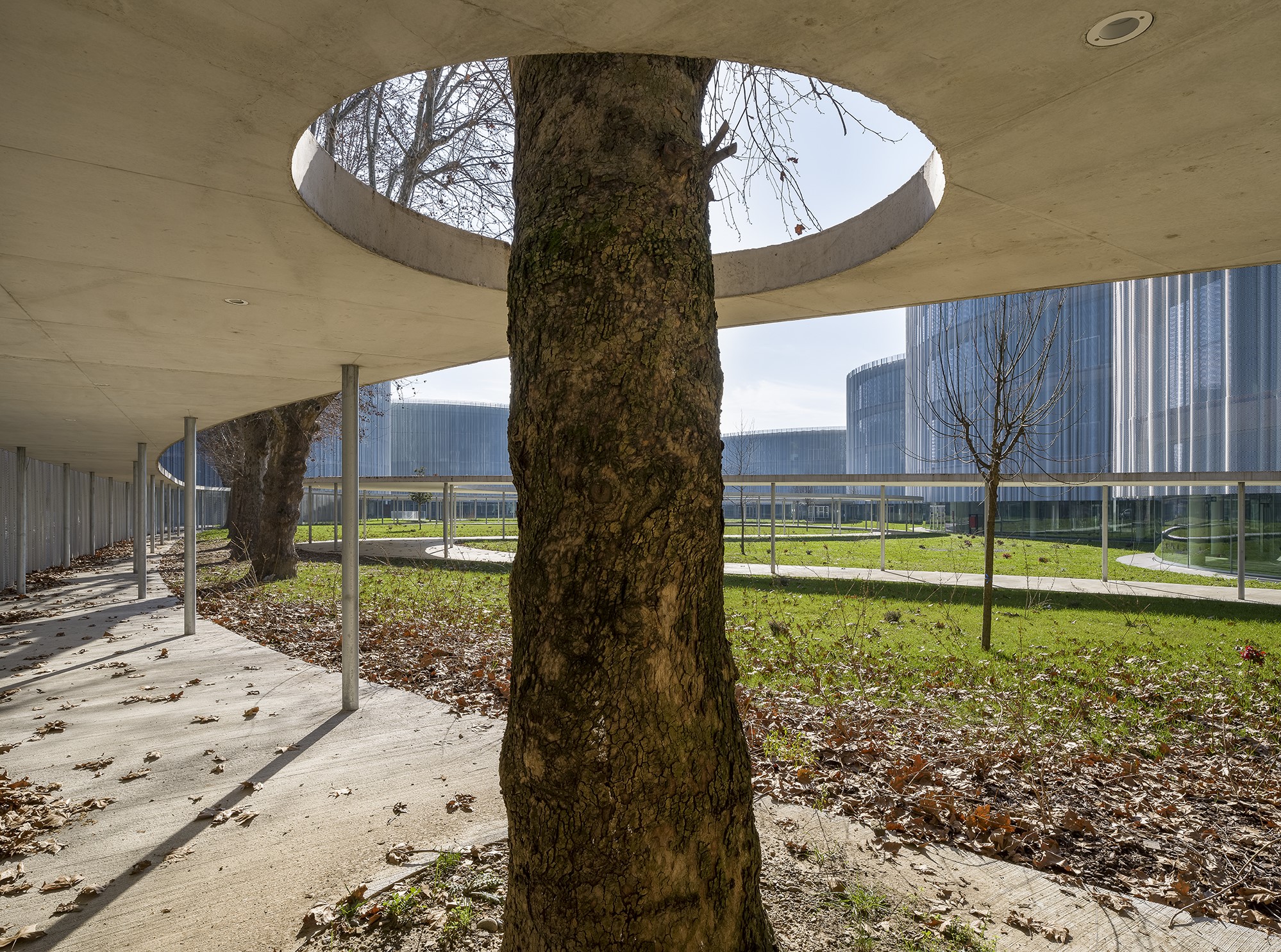 Bocconi