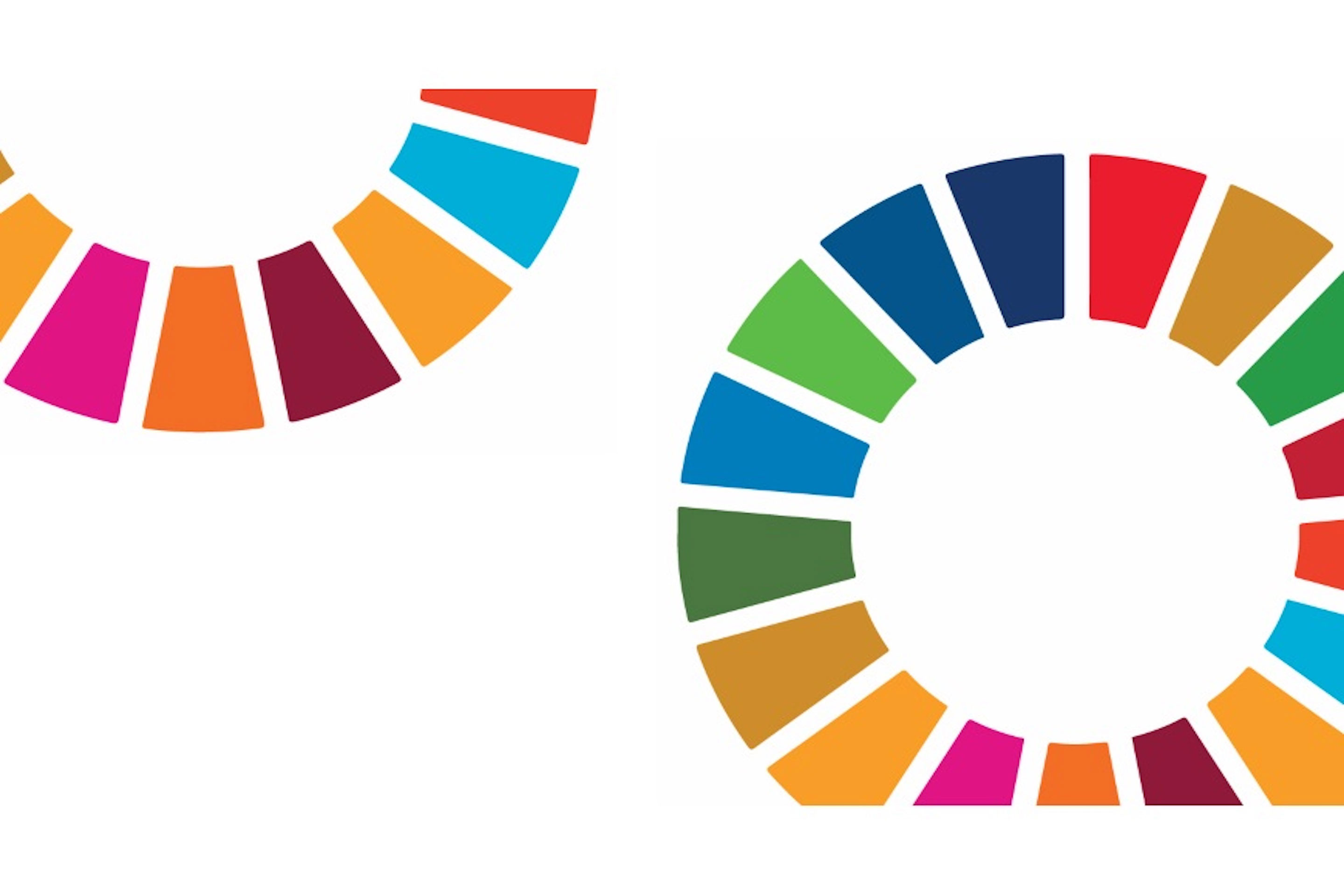 I colori dei 17 Obiettivi di sviluppo sostenibile (Sustainable Development Goals) delle Nazioni Unite.