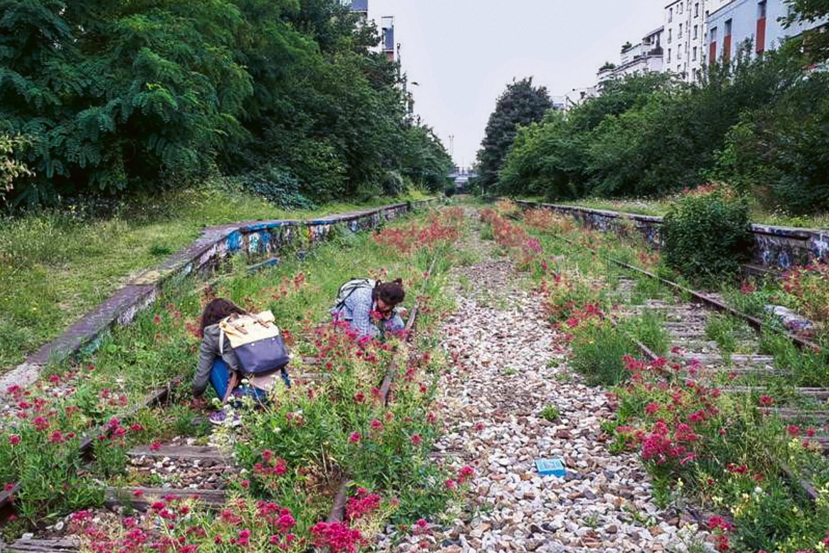 À travers son projet autour de la Petite ceinture, Wagon Landscaping (FR) prend le parti d'entretenir l'existant en suivant la dynamique naturelle des végétaux spontanés.