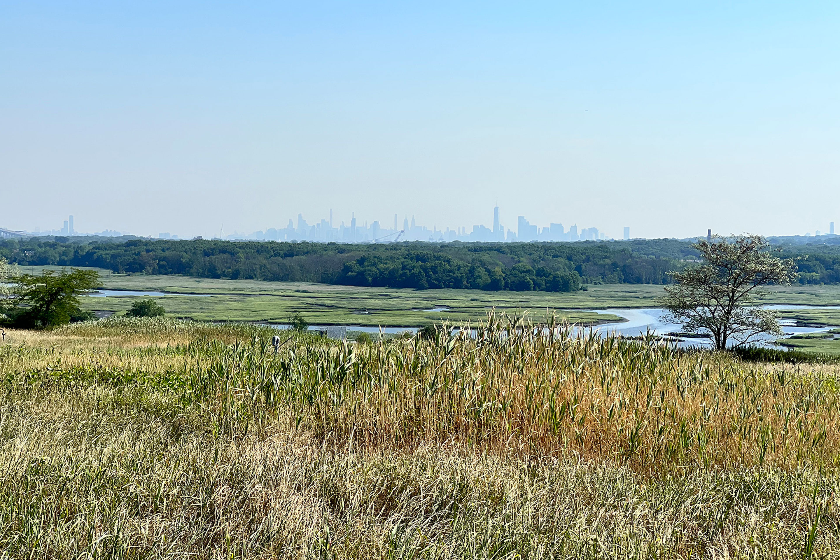 Freshkills Park. 2001-present. James Corner Field Operations