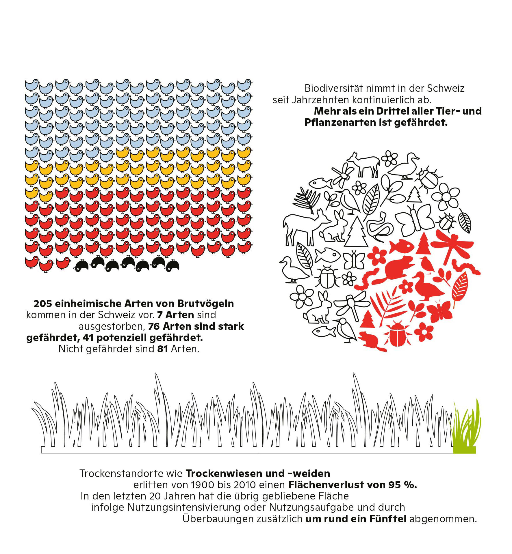 Biodiversitaet-Siedlungsraum-Wohlbefinden-Grafiken.jpg