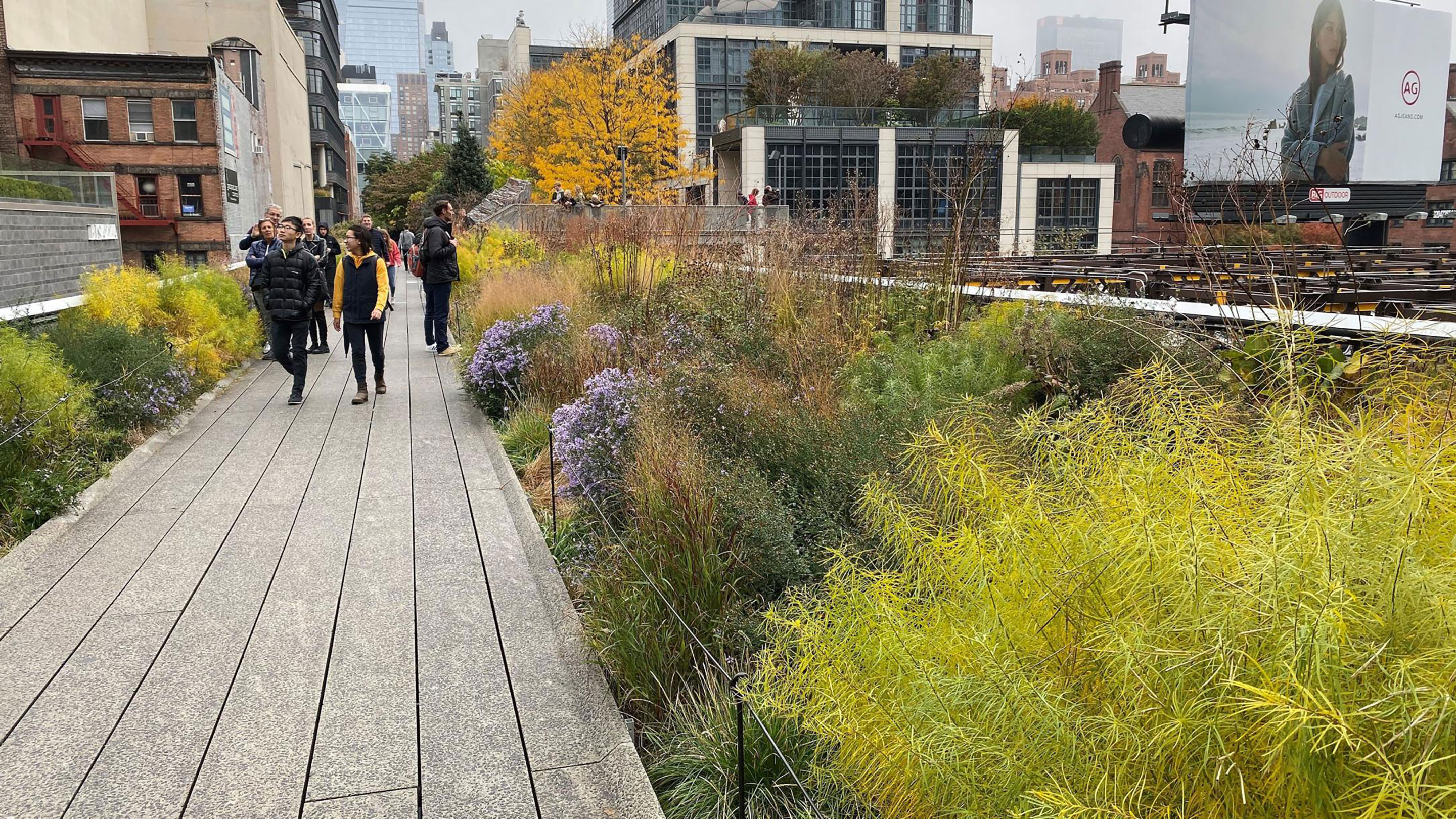 Piet Oudolf, High Line, New York City.