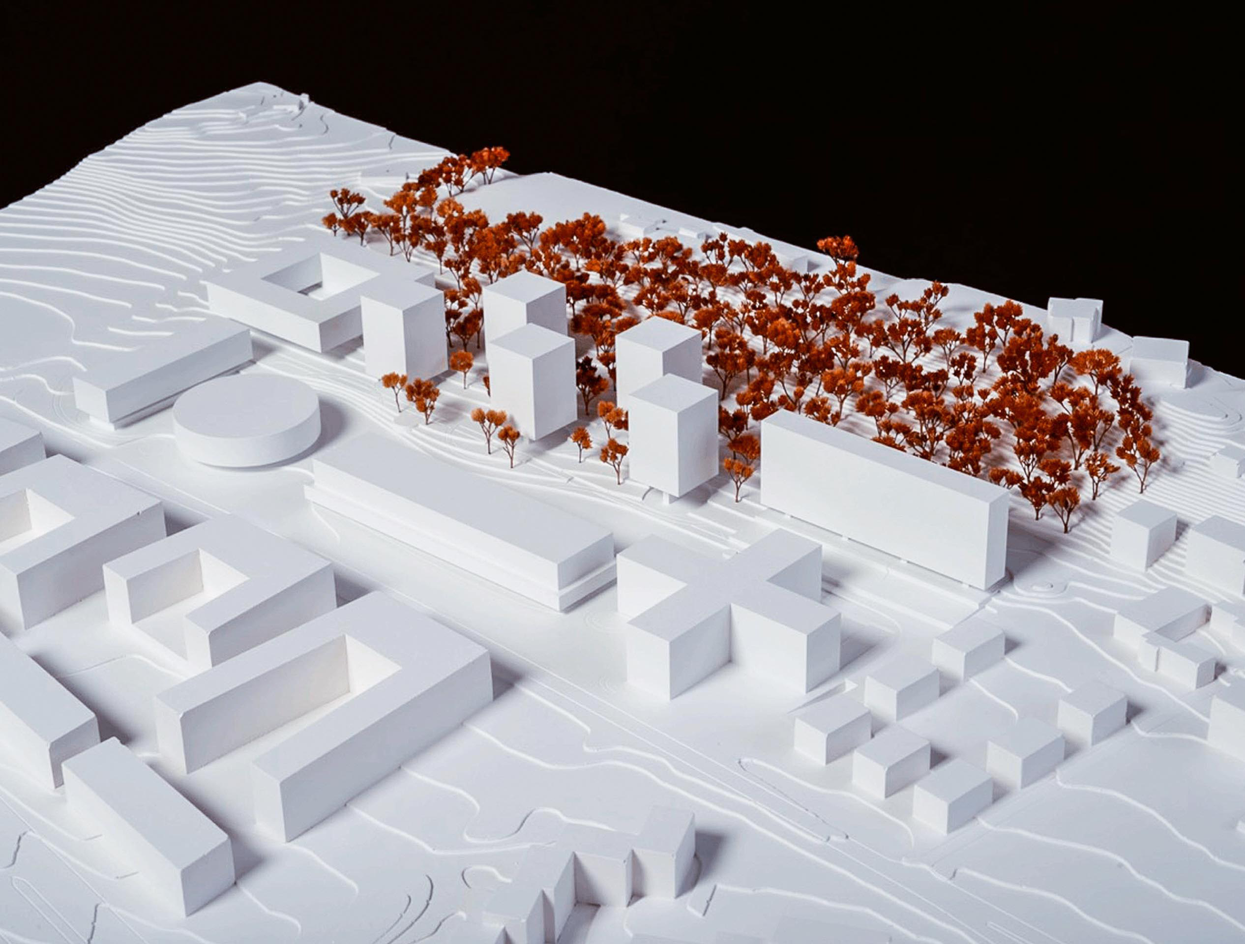 Maquette du projet Banquet, lauréat du concours du Campus Santé en 2016, reconnaissable par ses trois volumes: le cercle, le rectangle et la croix.