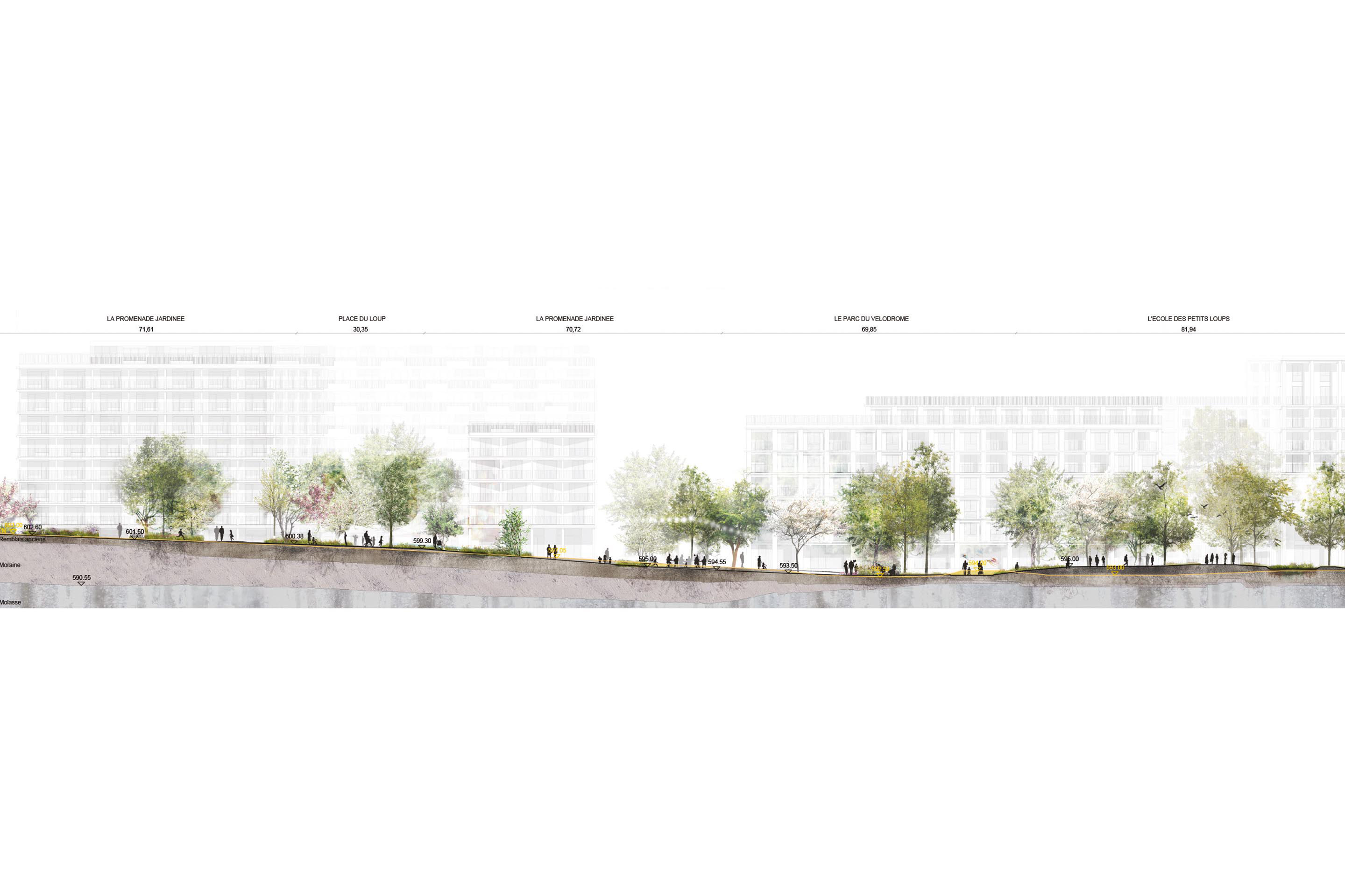 Coupe sur l’axe nord-sud: la rue jardinée.