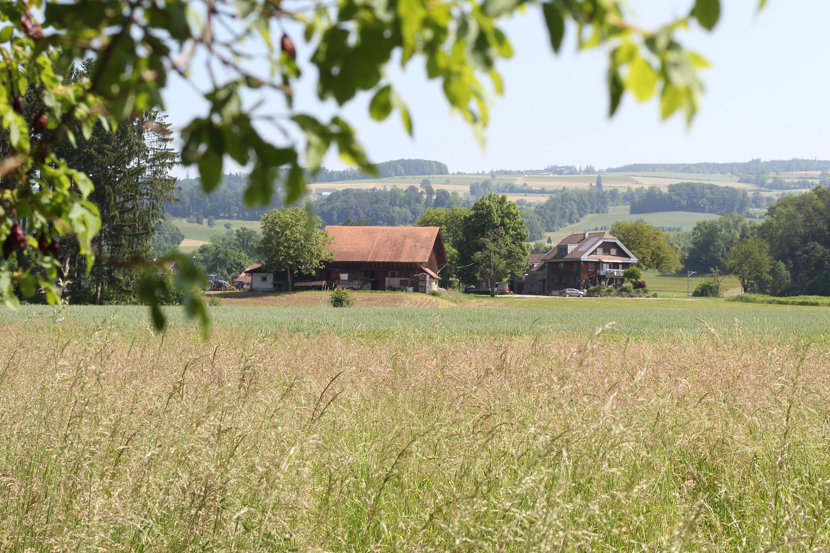 Teaser-Landschaftsinitiative