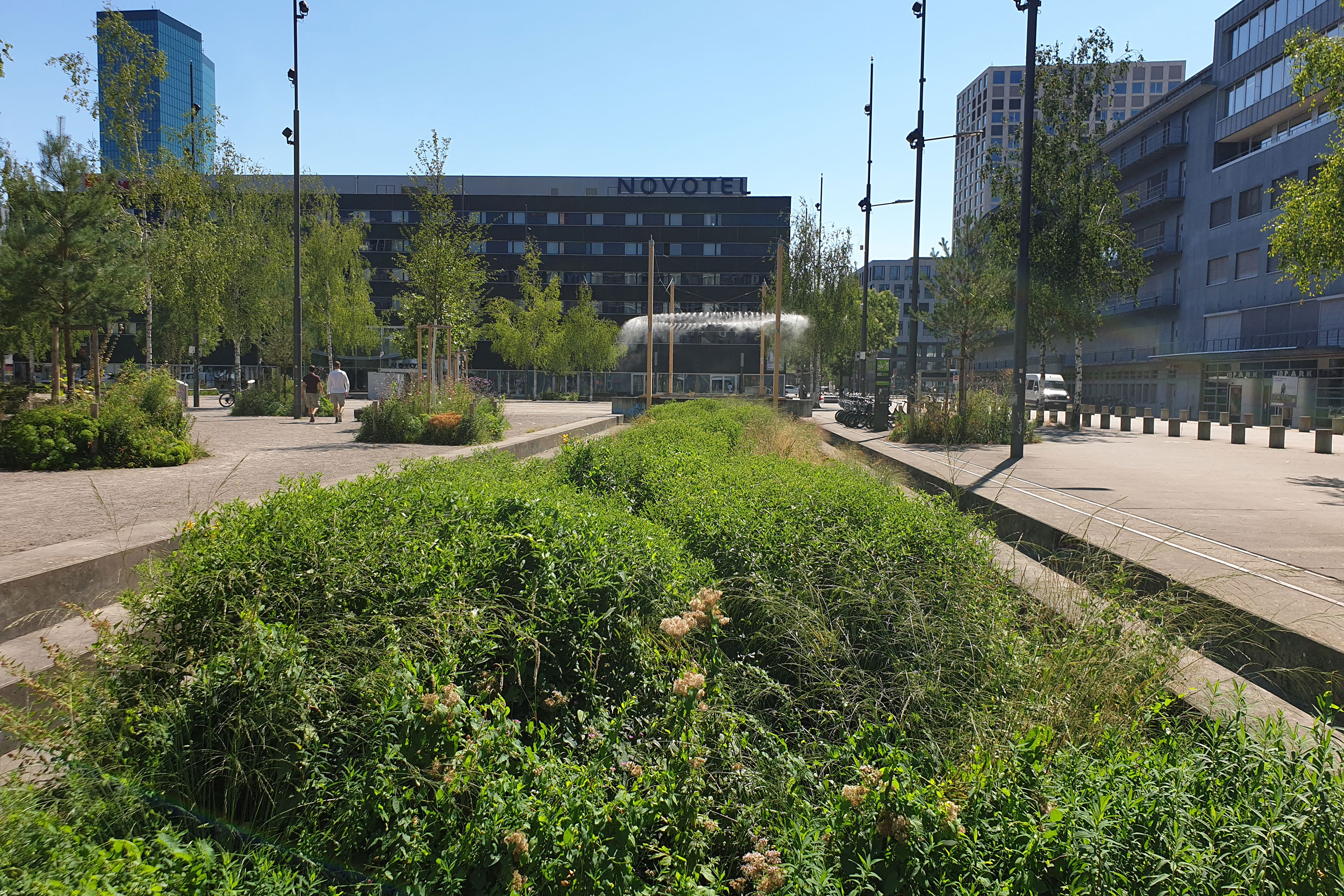 Gute Erfahrungen mit den hitzegestressten Birken auf dem Stadtzürcher Turbinenplatz machte man mit Unterpflanzungen aus Staudenmischungen und gehölzbetonten Pflanzensystemen.