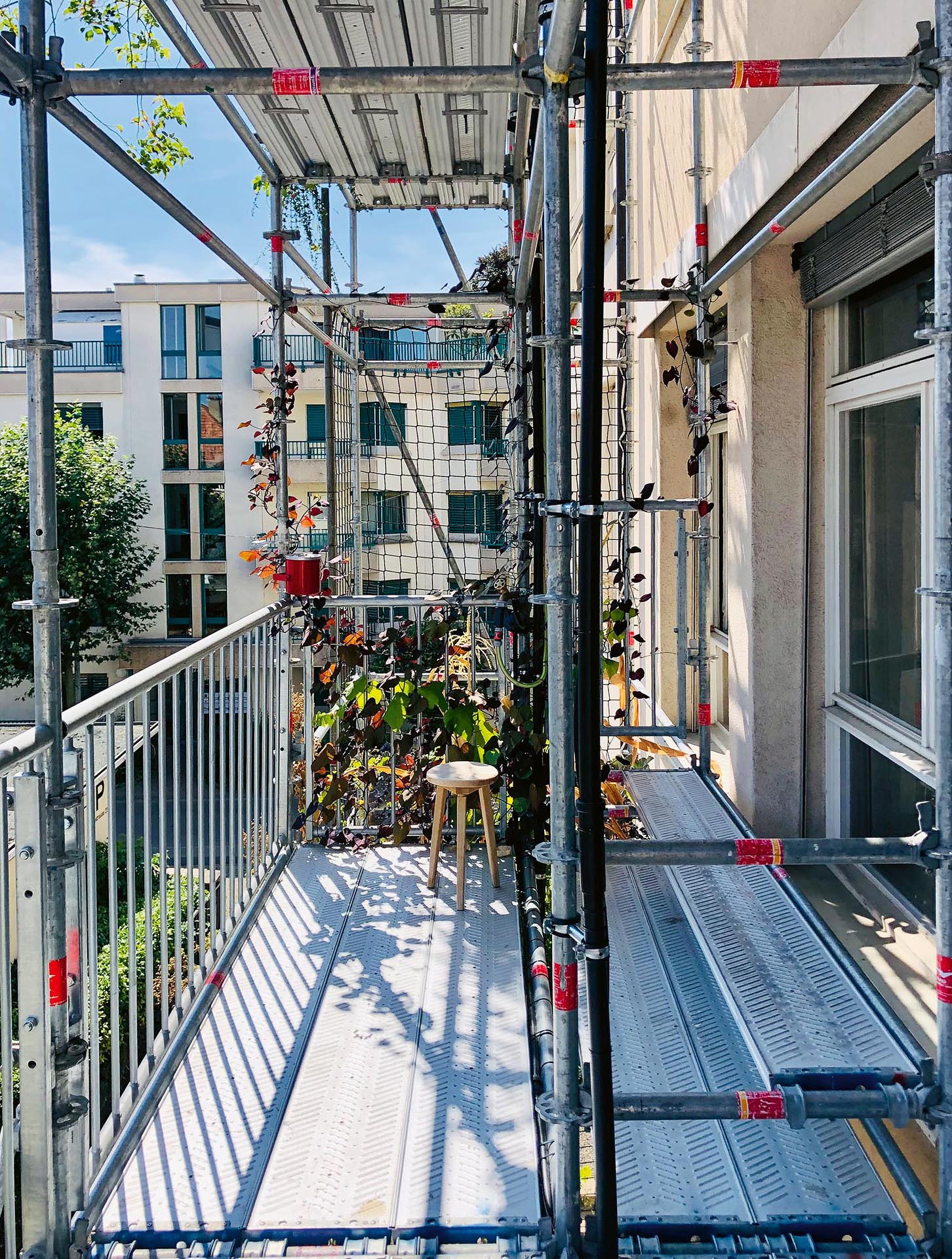 Facciata verde e al tempo stesso balcone: l'impalcatura vegetale davanti alla sede dello studio di architettura :mlzd di Bienne contribuisce in modo importante alla protezione termica in estate e offre una maggiore qualità abitativa.