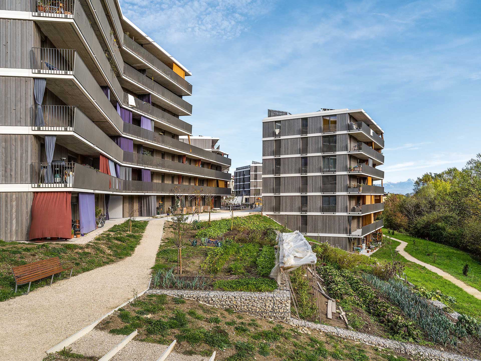 Ecoquartier-Stand-Nyon-C.jpg