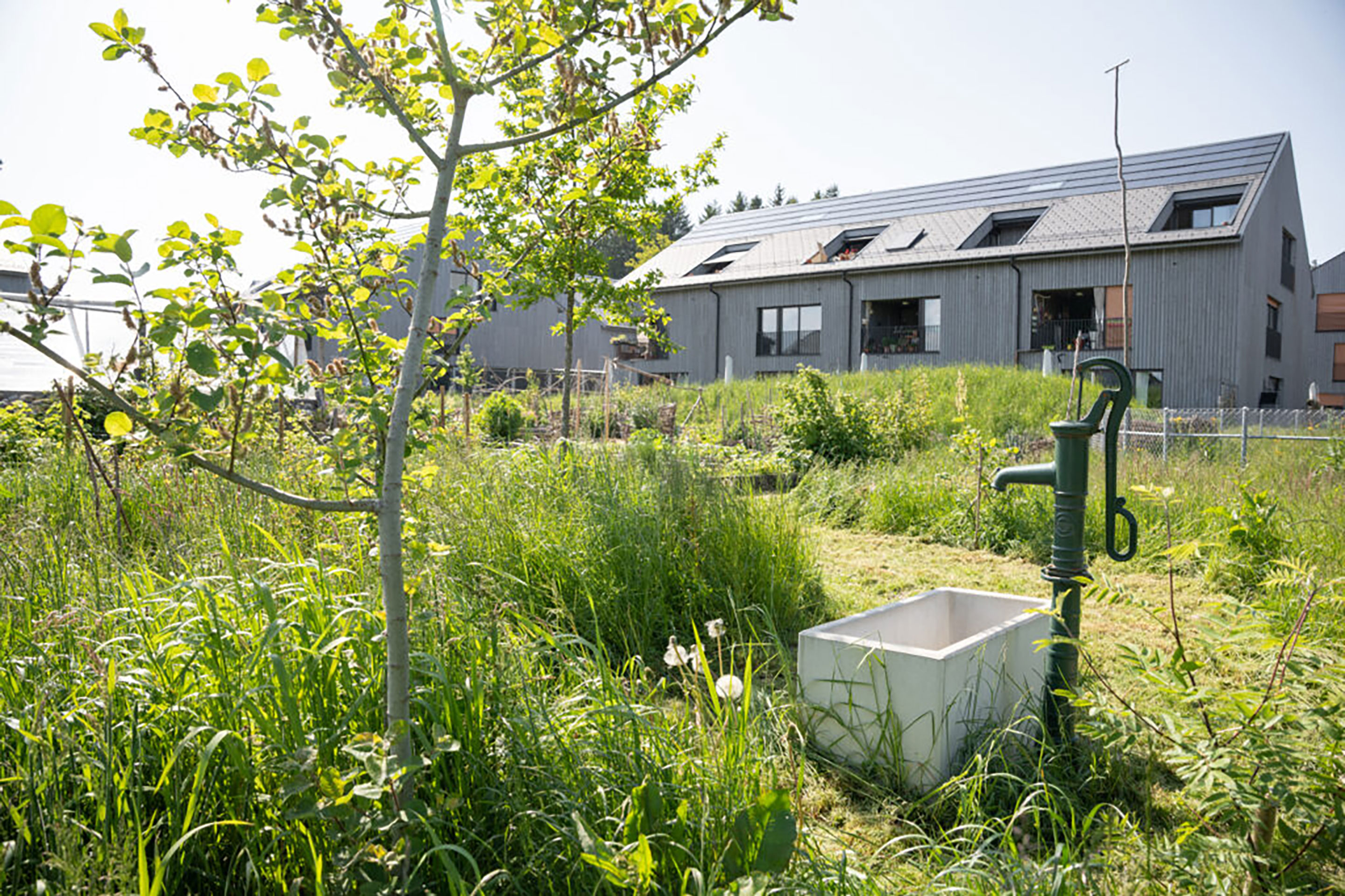 Hauptpreis 2023, Pra Roman Lausanne: Das Regenwasser wird über ökologisch wertvolle Sickergräben gesammelt und zur Gartenbewässerung genutzt.