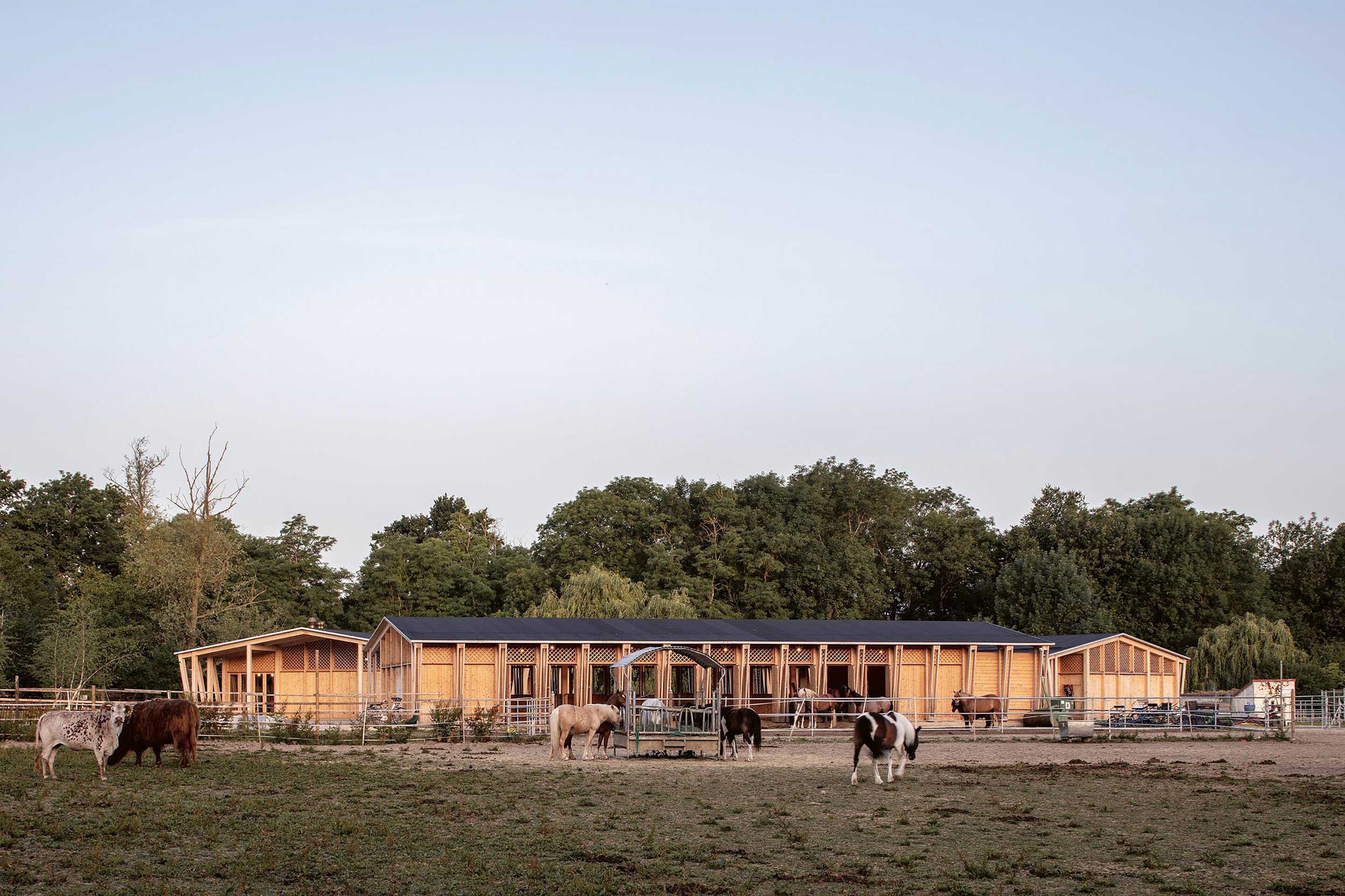 ville-en-bois-ferme-gavotte-onex-1.jpg