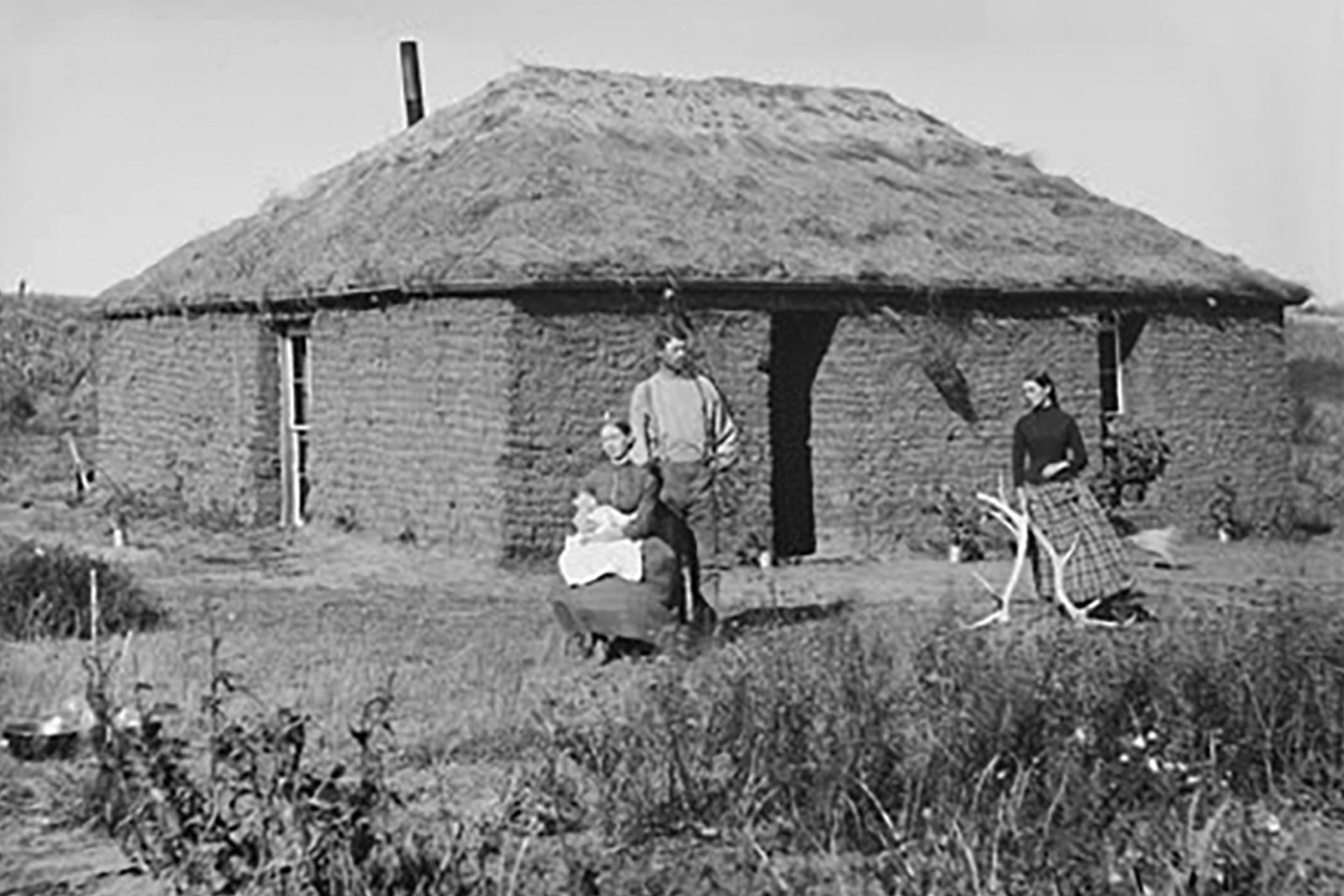 Une maison en mottes ou sod house dans la prairie.