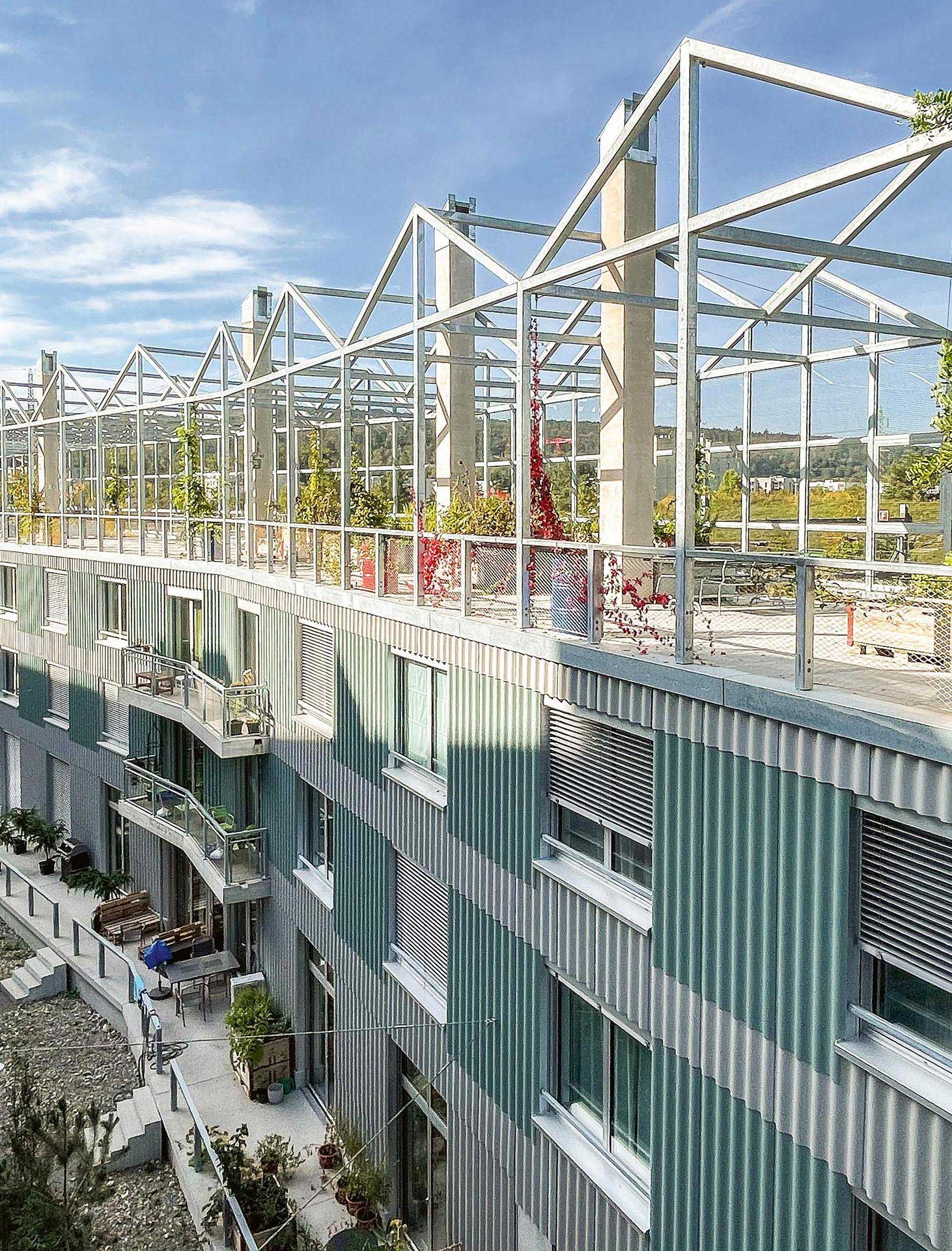 Westhof-ensemble-logement-duebendorf.jpg