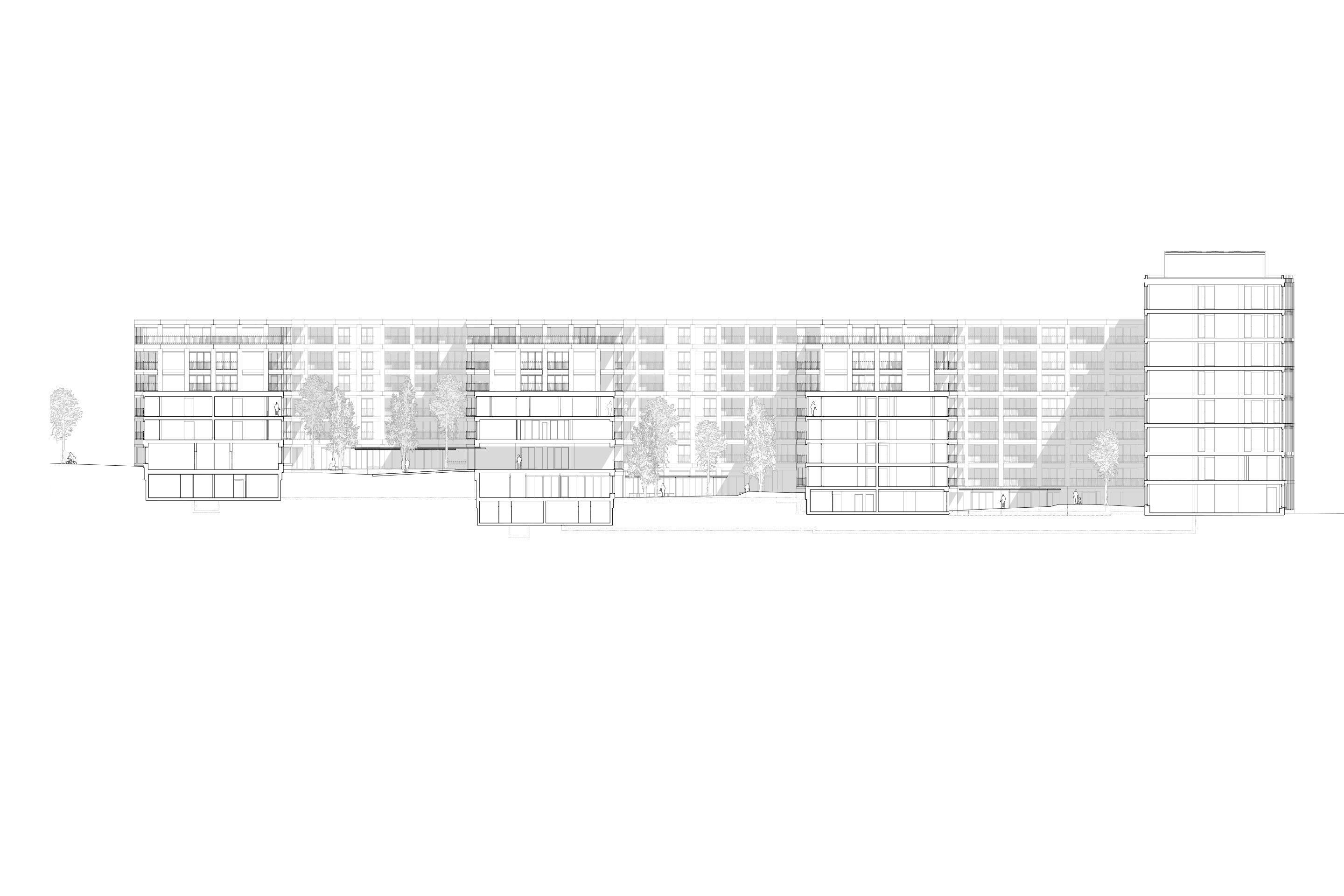 Coupe longitudinale. Avec ses quatre têtes, le projet dessine une séquence de cours intérieures, par lesquelles se fait l’entrée aux logements.