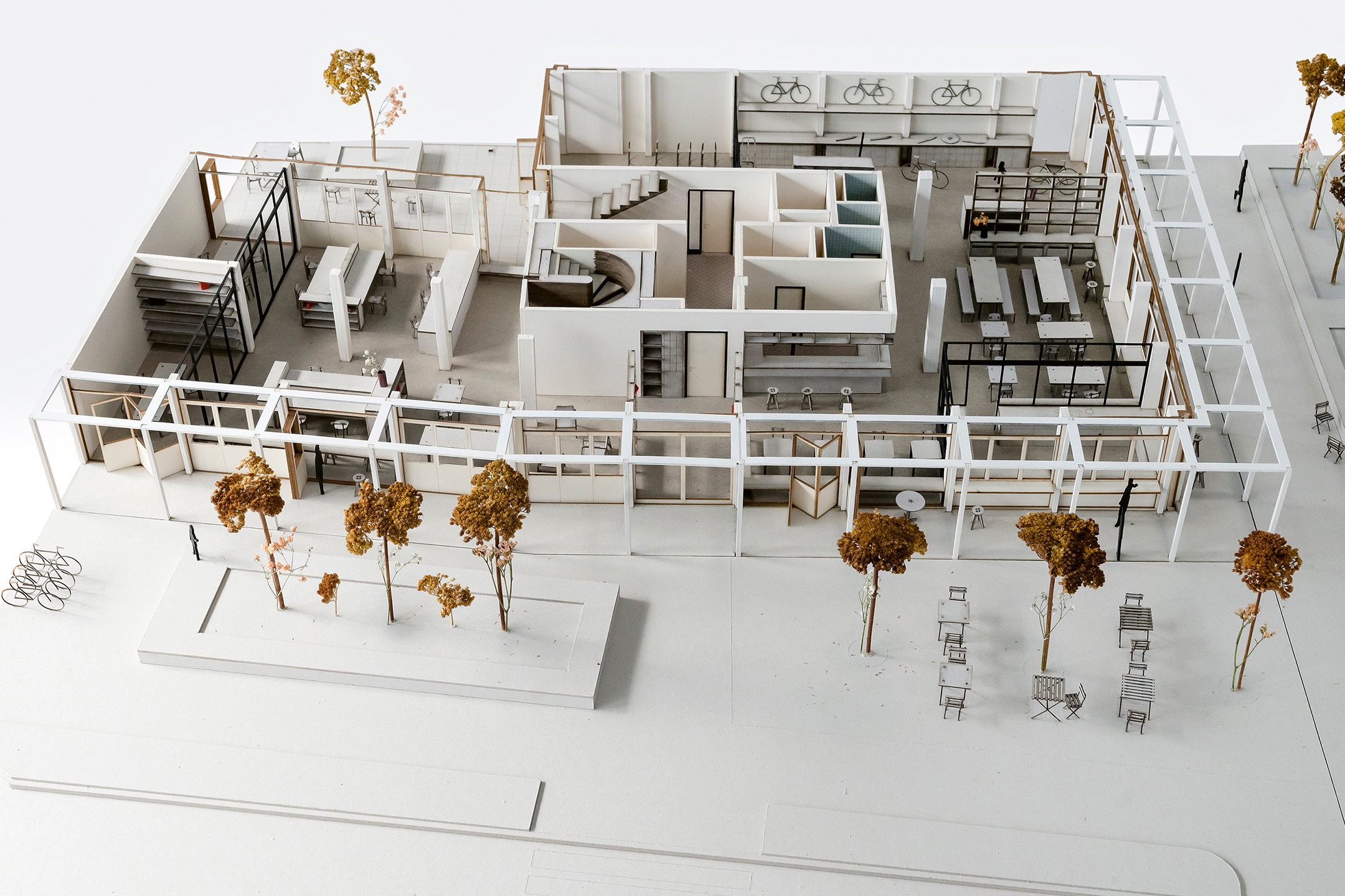 Immeuble Gavard, rez-de-chaussée. Projet : Adriano Trovato, Célestin Schwab 