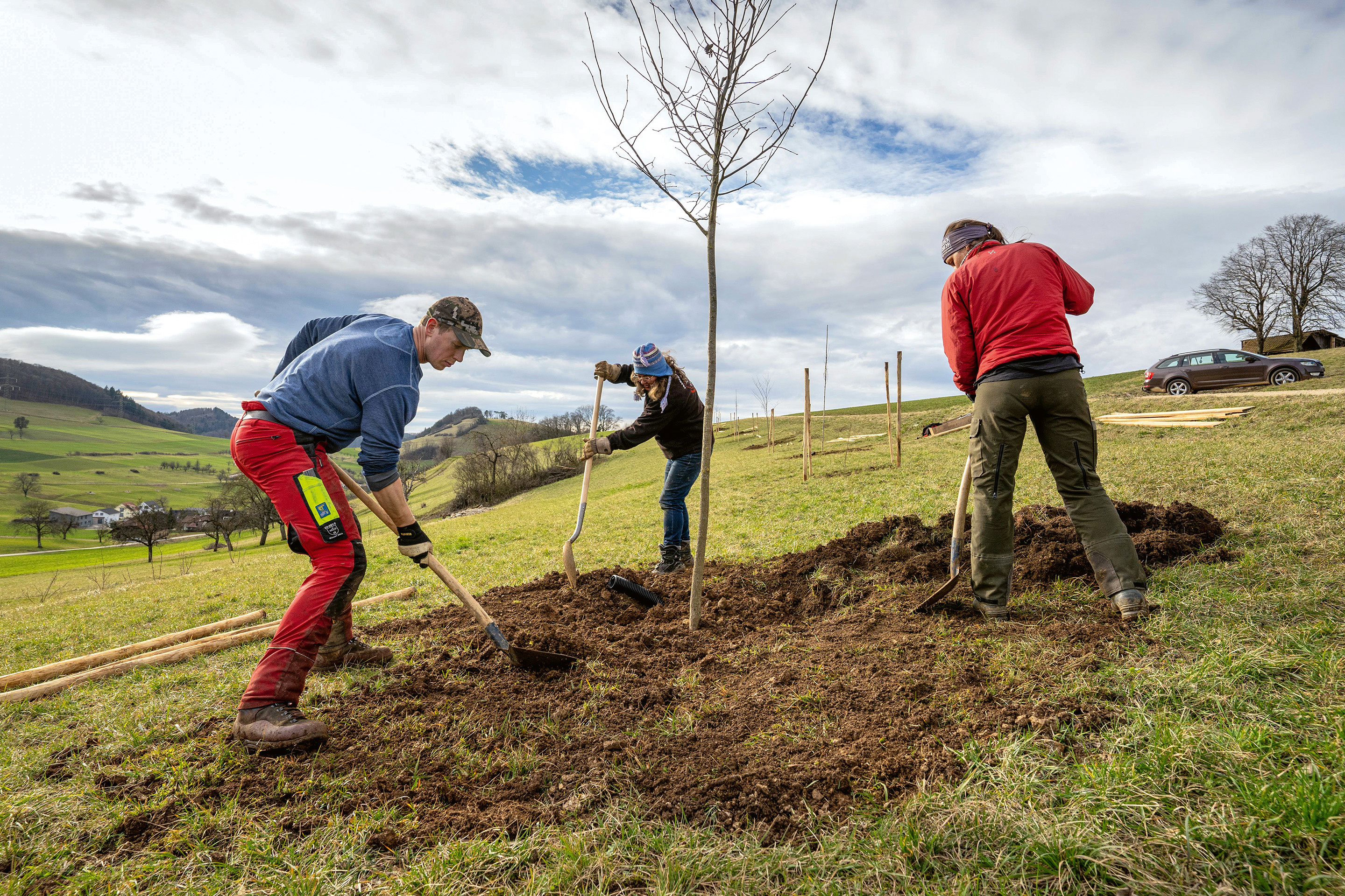 Bis 2040 soll die Schweiz über eine funktionsfähige ökologische Infrastruktur verfügen: ein landesweites Netz von Flächen, die für die Biodiversität wichtig sind. Die Gemeinde Mandach AG hat mit spezifischen Massnahmen zur Förderung der Biodiversität einen Schritt in die richtige Richtung gemacht. Die Firma apiaster hat hier gemeinsam mit der lokalen Bevölkerung 38 Feldbäume gepflanzt, Weiher angelegt und Trockenmauern saniert.