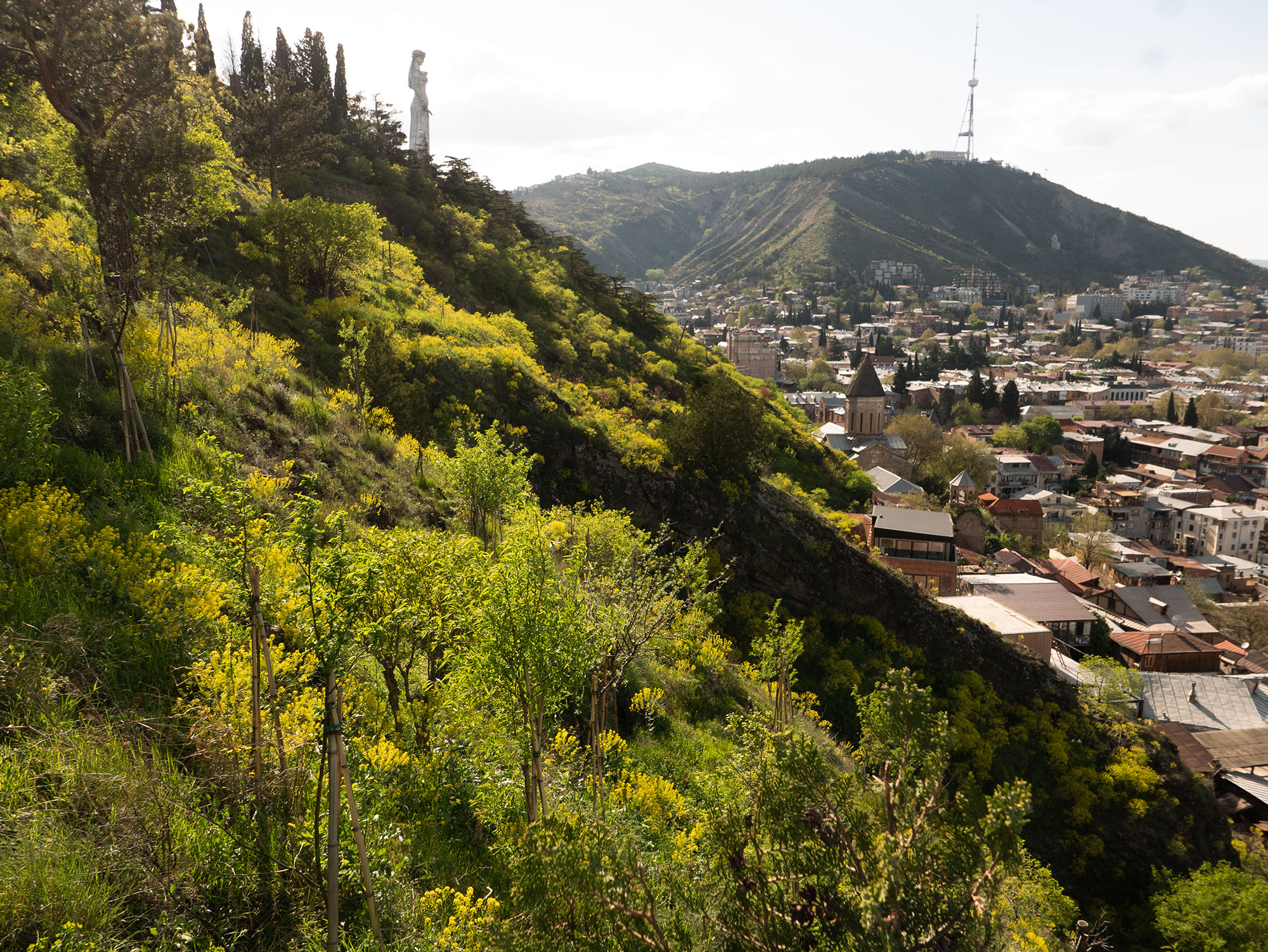 Forêt Urbaine - Tbilissi (Géorgie), 2023 - Auteurs : Ruderal