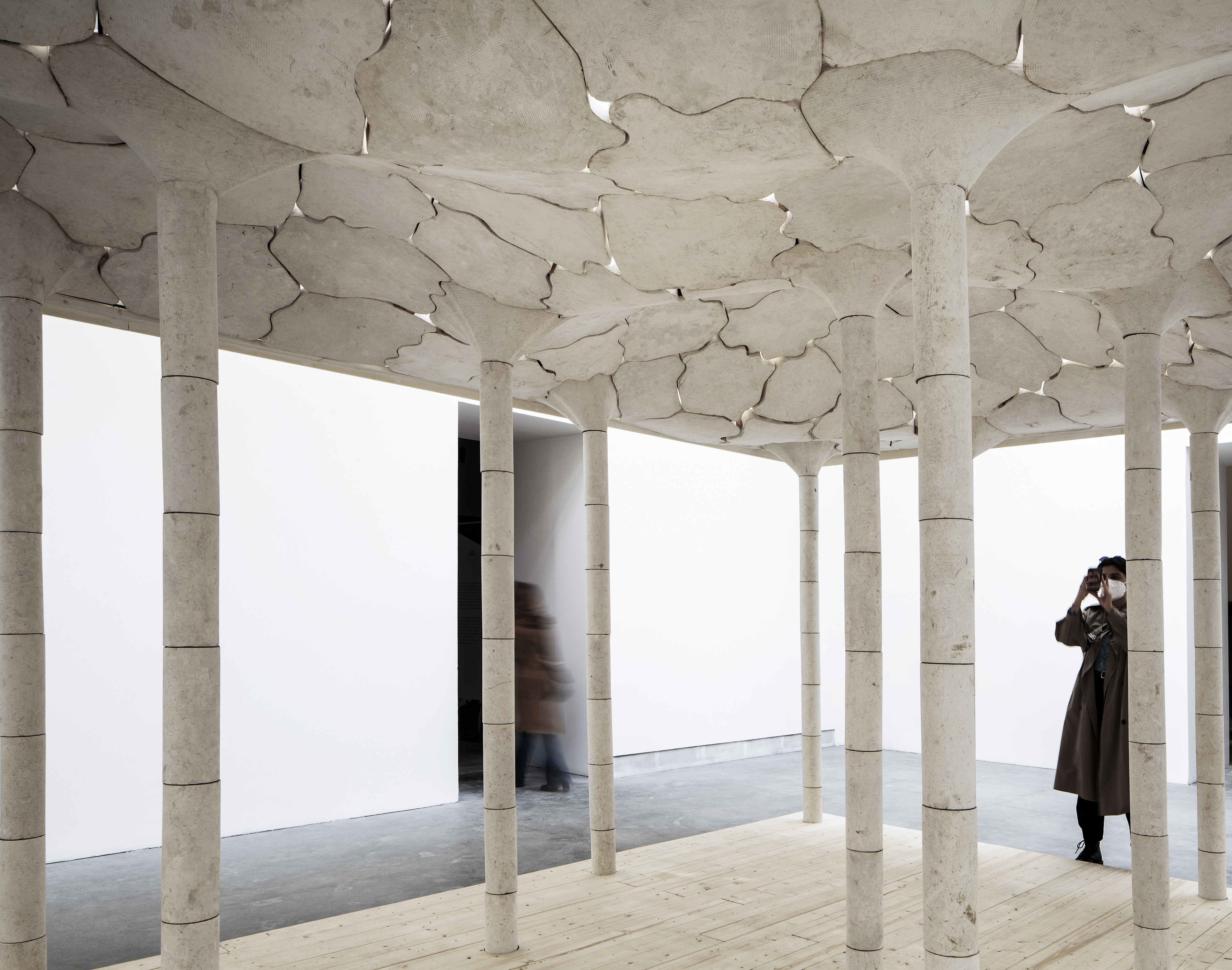 3-1-AAU-Anastas-All-Purpose-Venise-2020-FG_Pad. C. 21_AAU ANASTAS_3225-Recoveredd.jpg