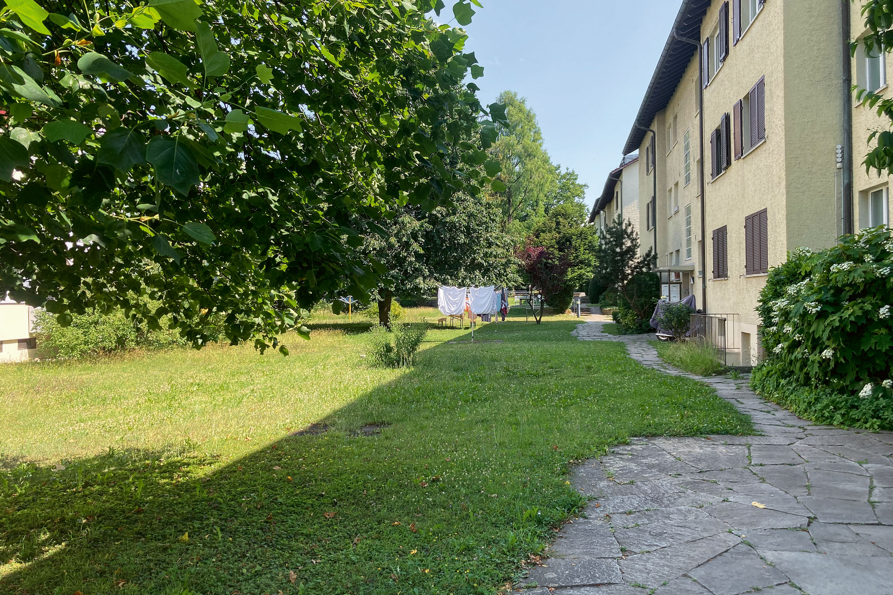 Das Allenmoos-Quartier in Zürich, Lieblingsort von TEC21-Redaktorin Danielle Fischer.