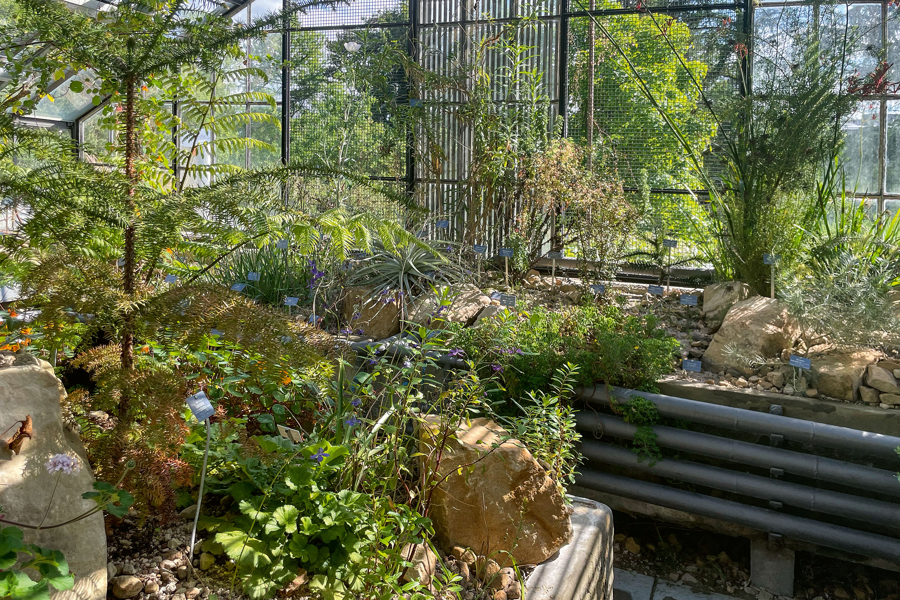 Der botanische Garten in Bern, Lieblingsort von TEC21-Redaktorin Natalie Schärer.