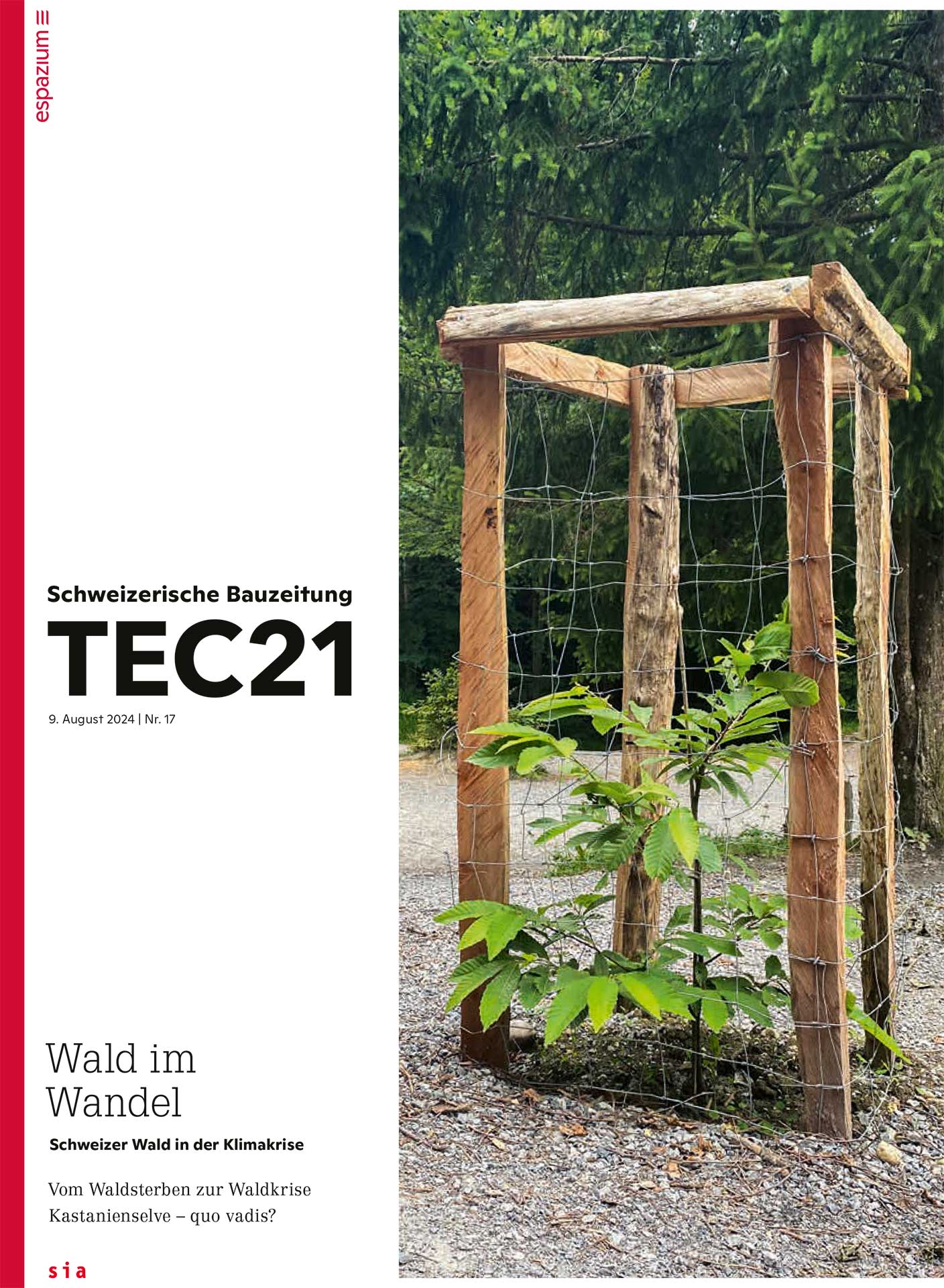 TEC21 17/2024