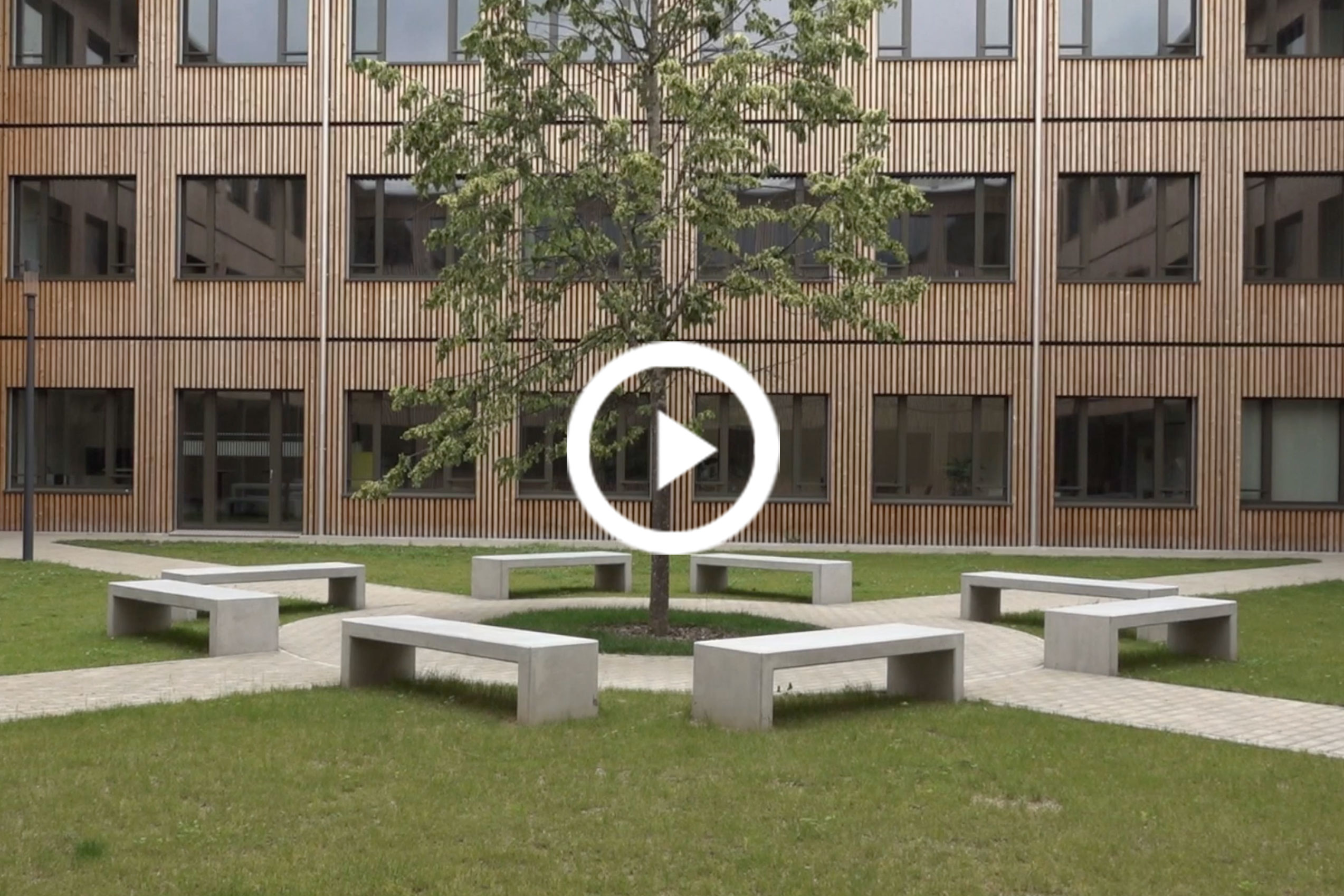 Holzbau berühren: Liceo cantonale Lugano, scuola dell'infanzia Cassarate, Holzbau berühren