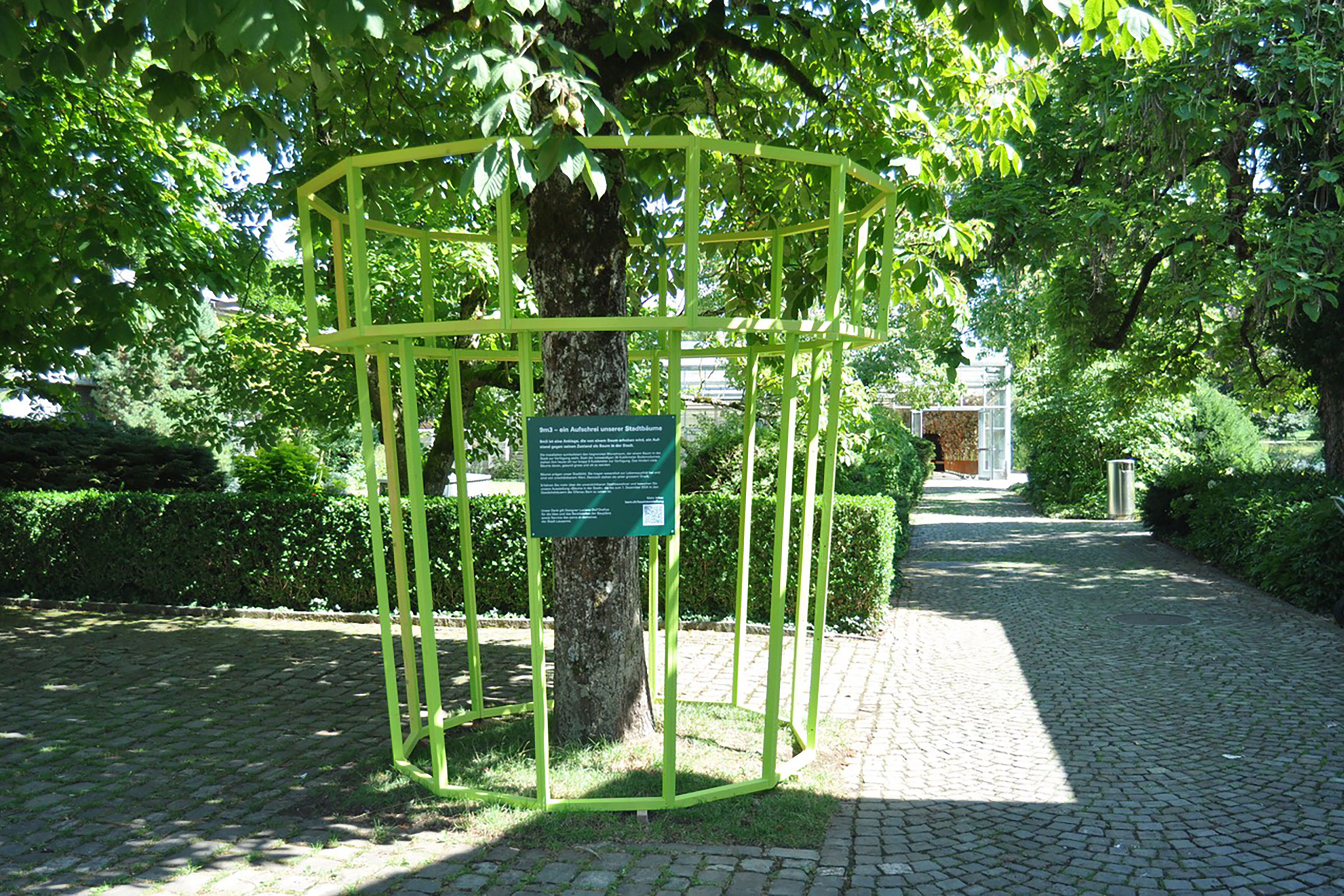 Mit grünen Stäben ist das minimale Wurzelvolumen dargestellt, das einem Stadtbaum für seine Entwicklung zugestanden wird.