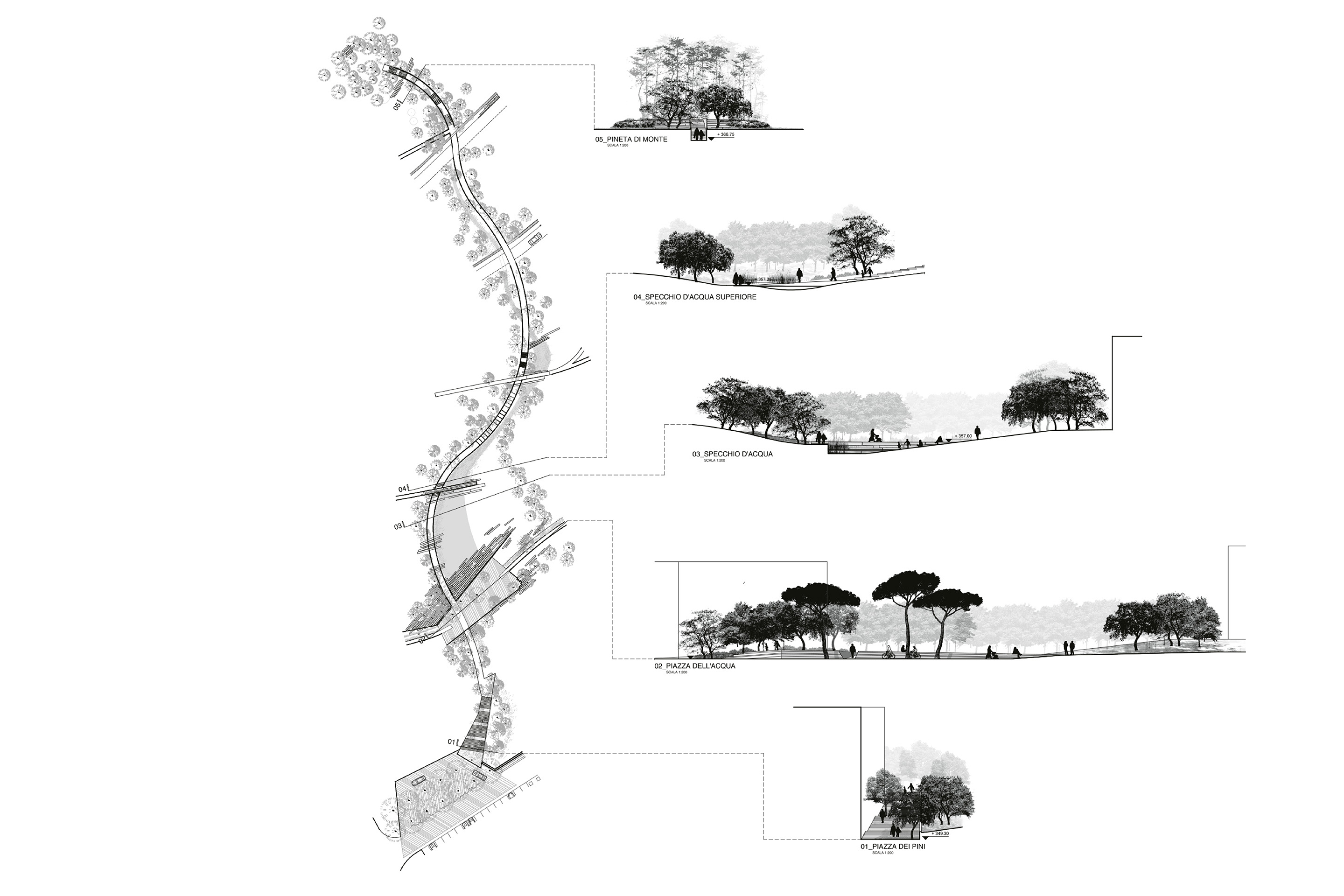 Sezioni sul percorso tra la Pineta di monte e la Piazza dei pini