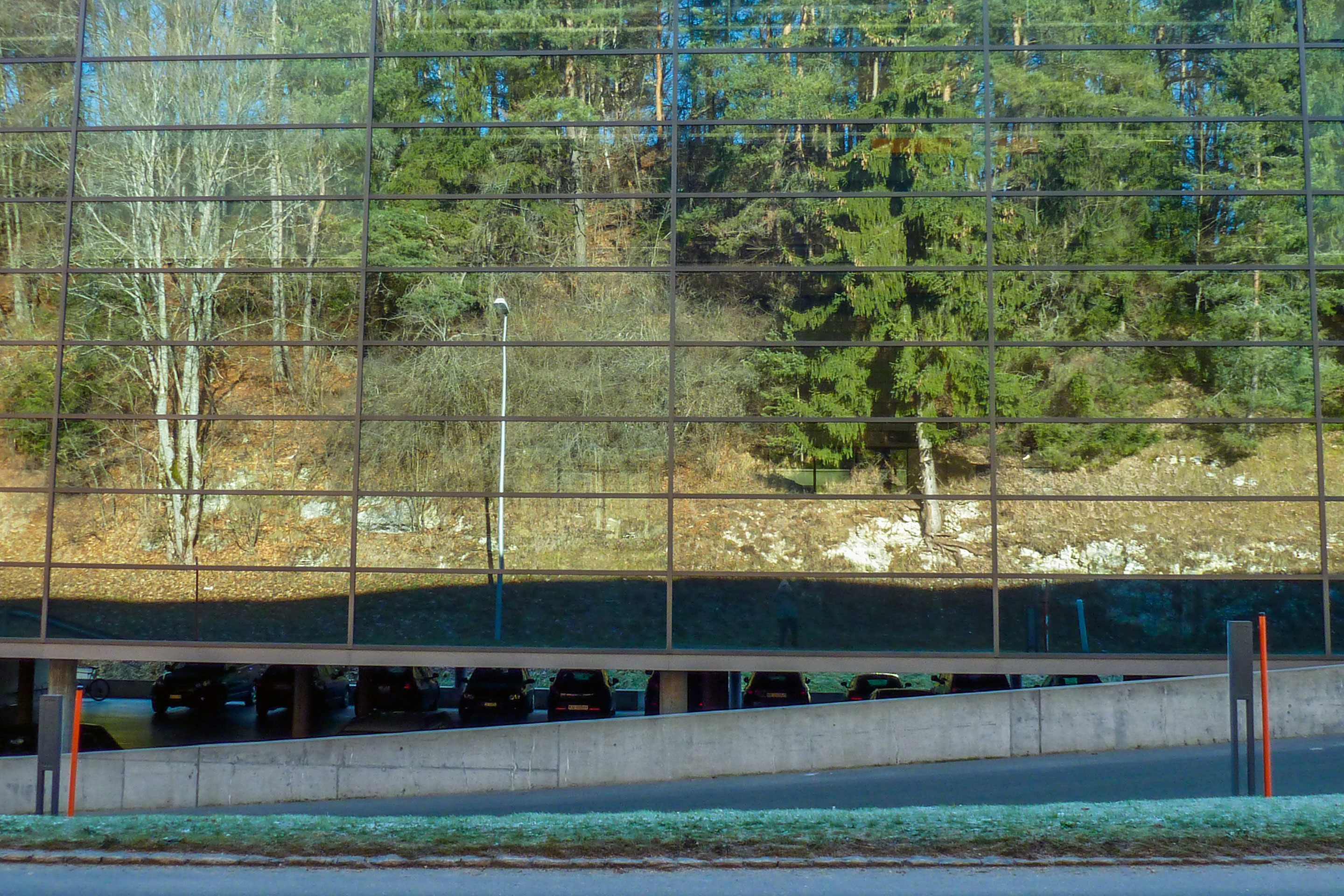Spiegelungen von Bäumen und Landschaft in der Fassade sind für die Vögel besonders irreführend.