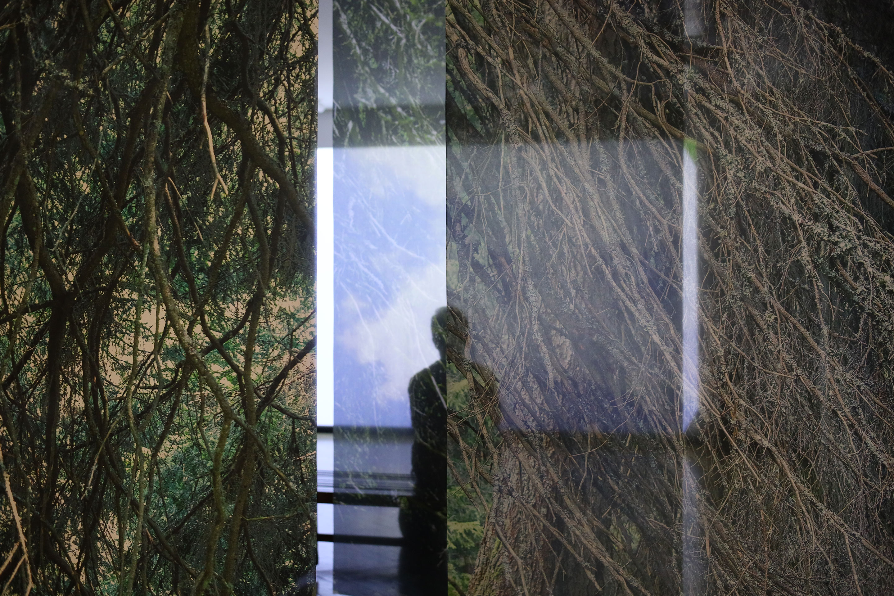 Zugang durch grossformatige Waldbilder zur Videoinstallation im Artstübli – Kunst &amp; Kultur